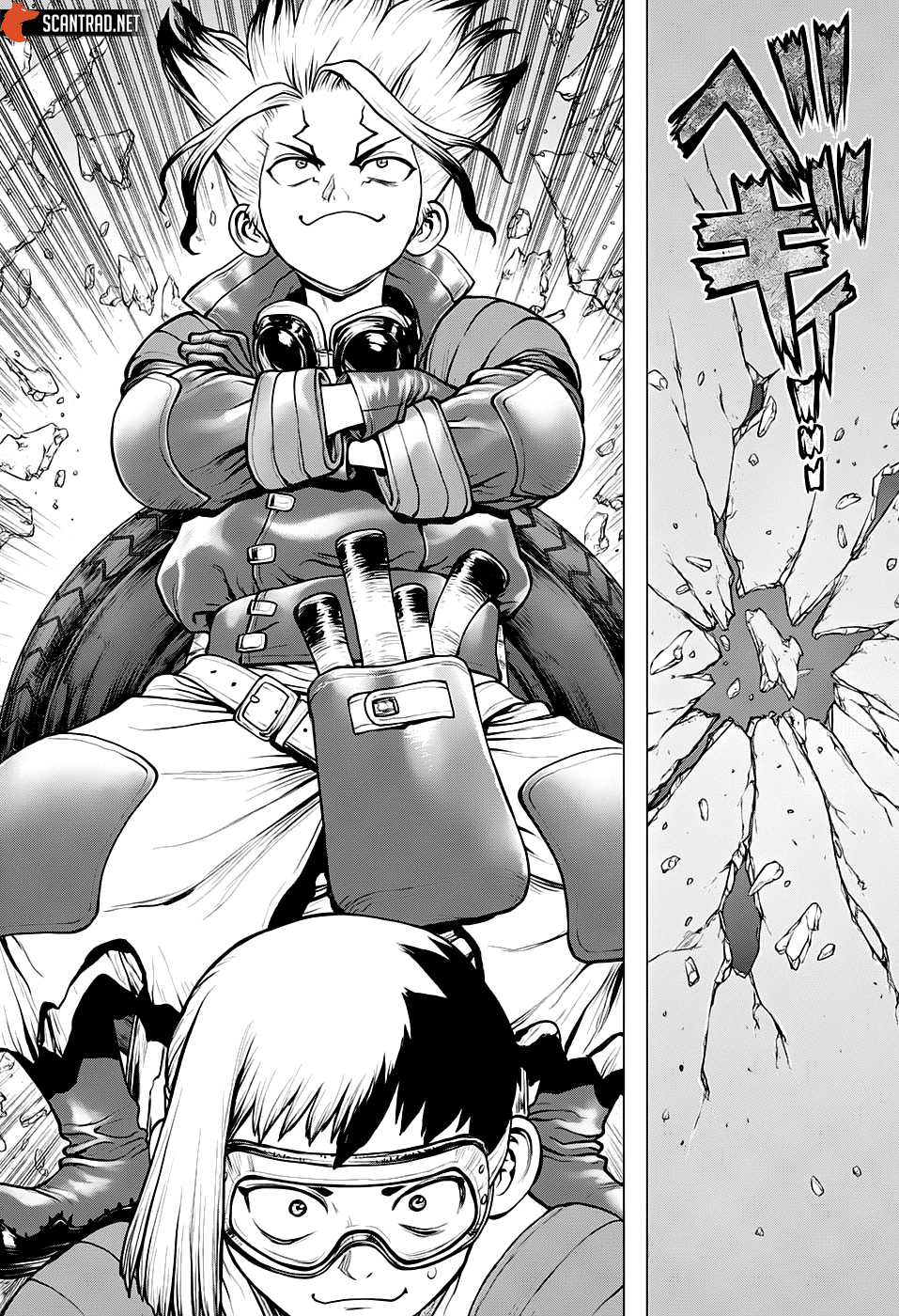 Read Dr. Stone FR Manga Online
