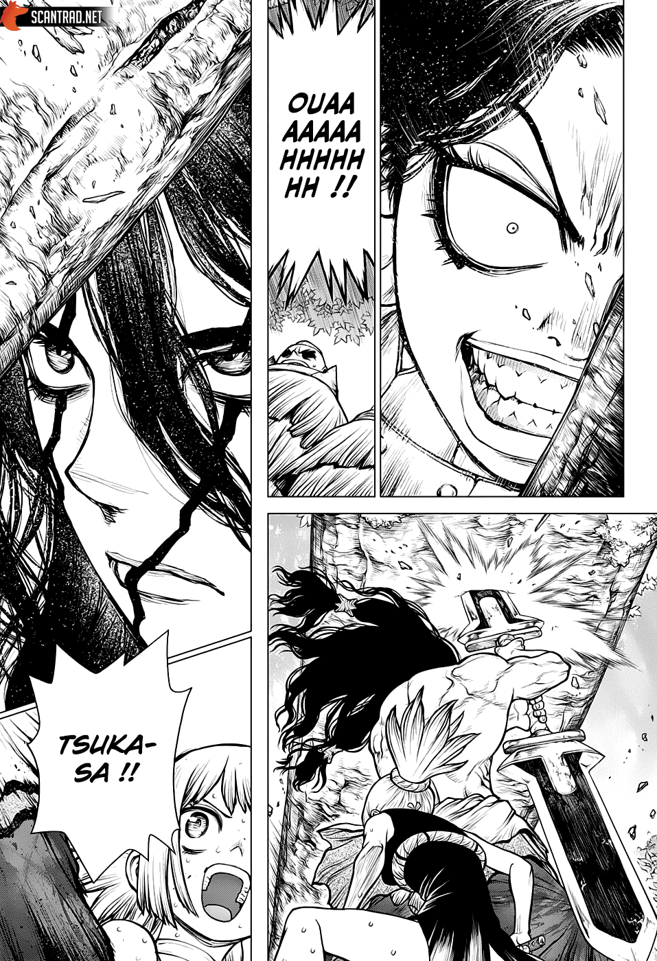 Read Dr. Stone FR Manga Online