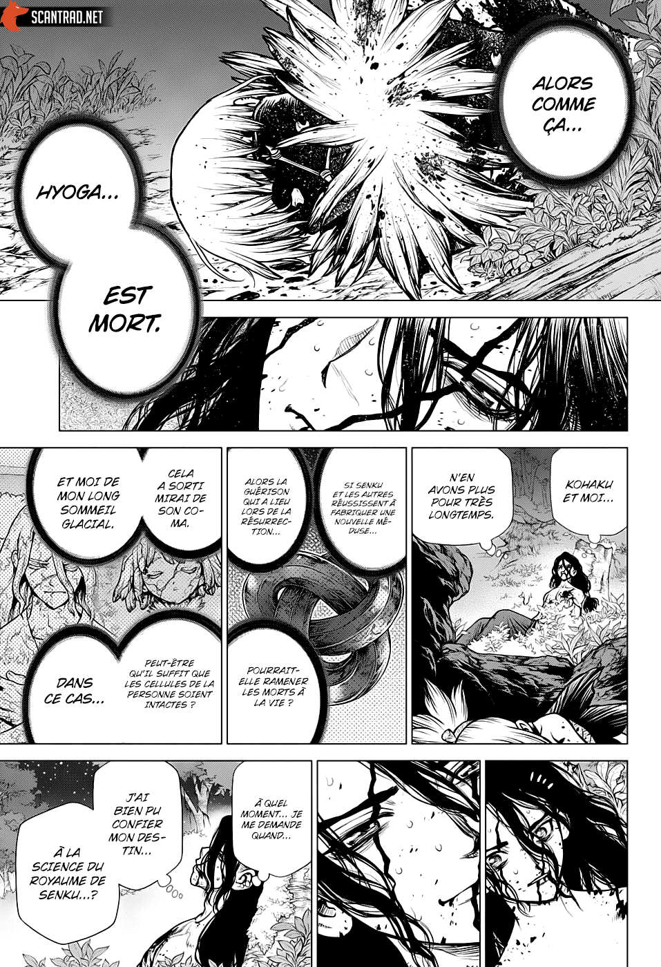 Read Dr. Stone FR Manga Online