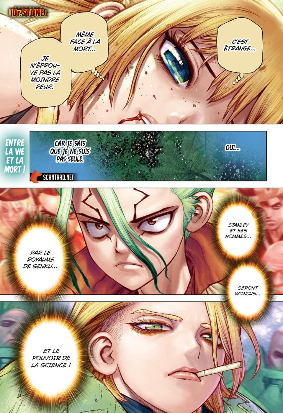 Read Dr. Stone FR Manga Online