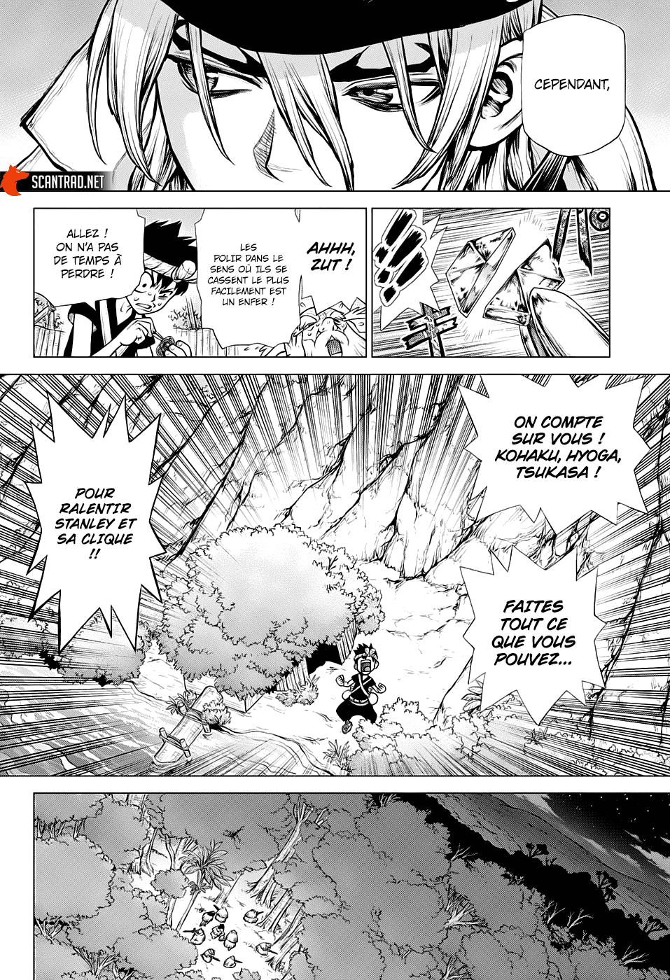 Read Dr. Stone FR Manga Online