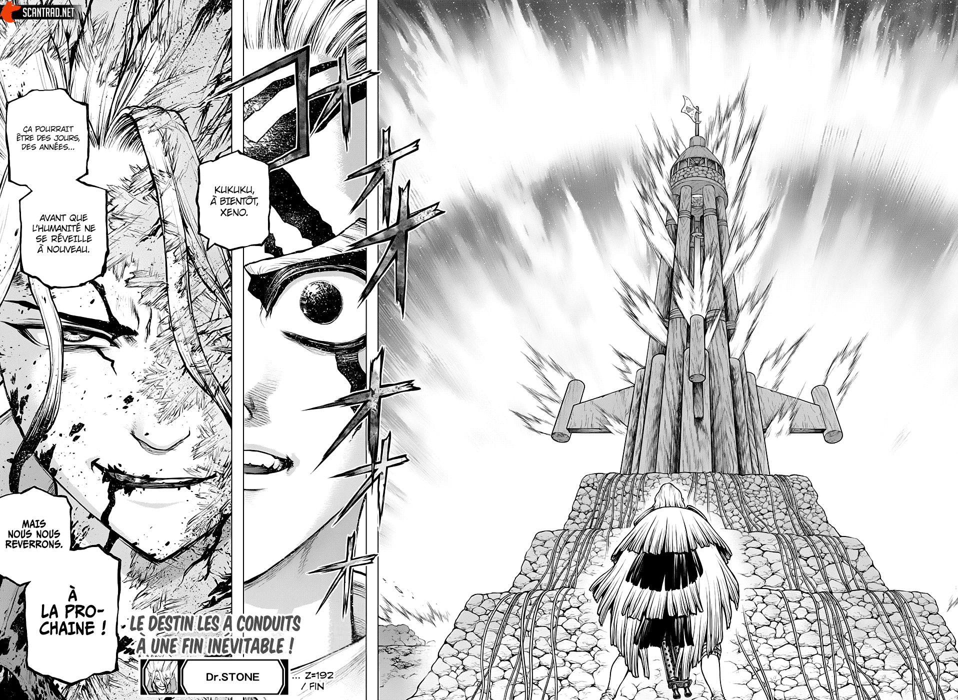 Read Dr. Stone FR Manga Online