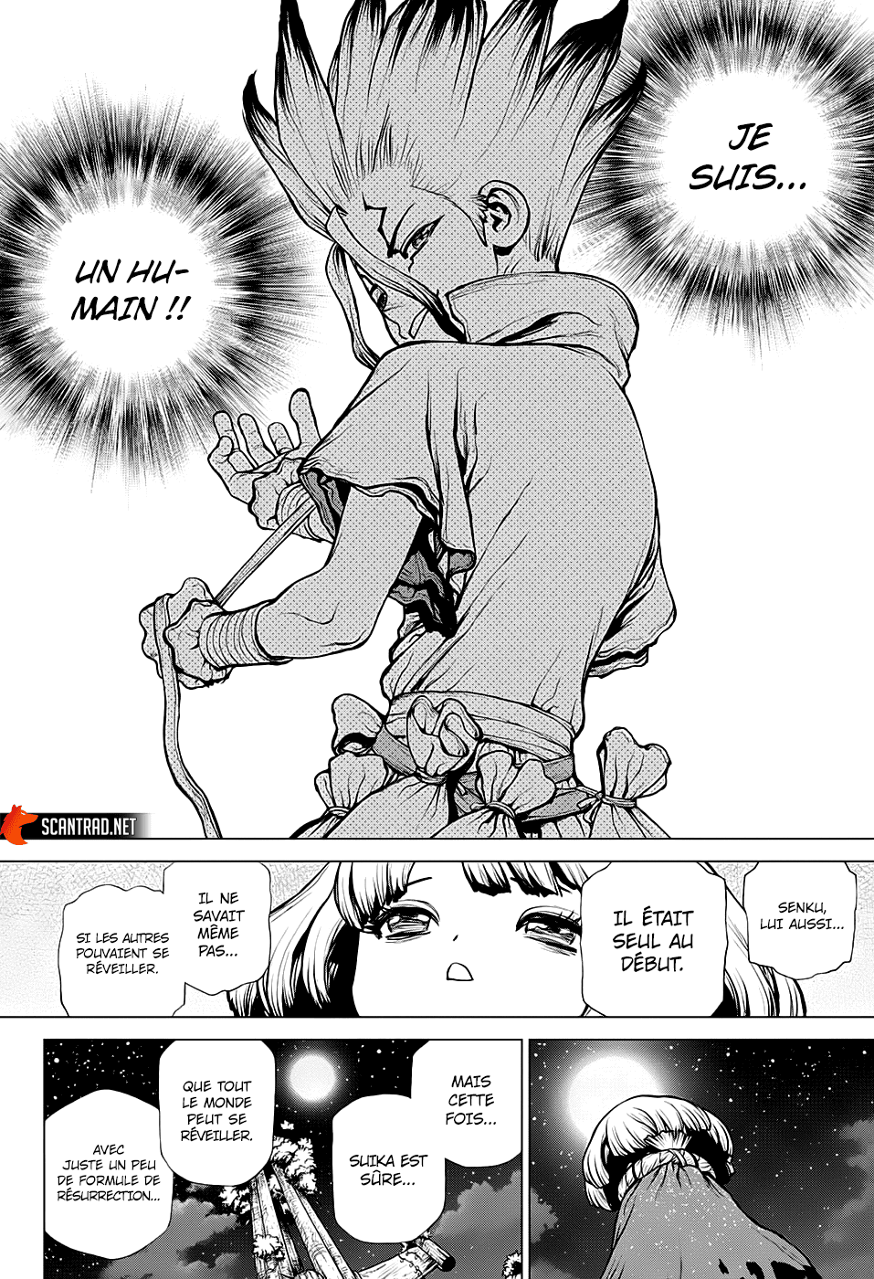 Read Dr. Stone FR Manga Online