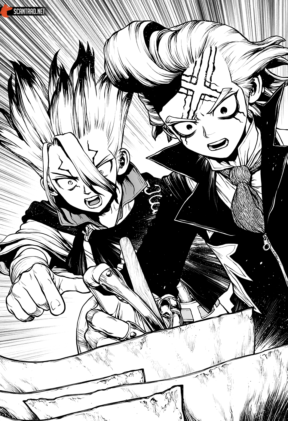 Read Dr. Stone FR Manga Online