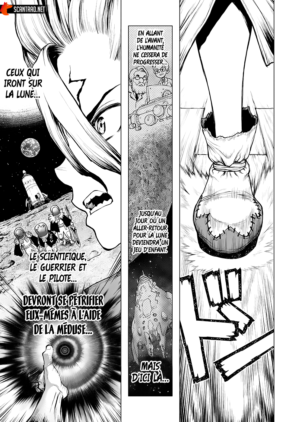 Read Dr. Stone FR Manga Online