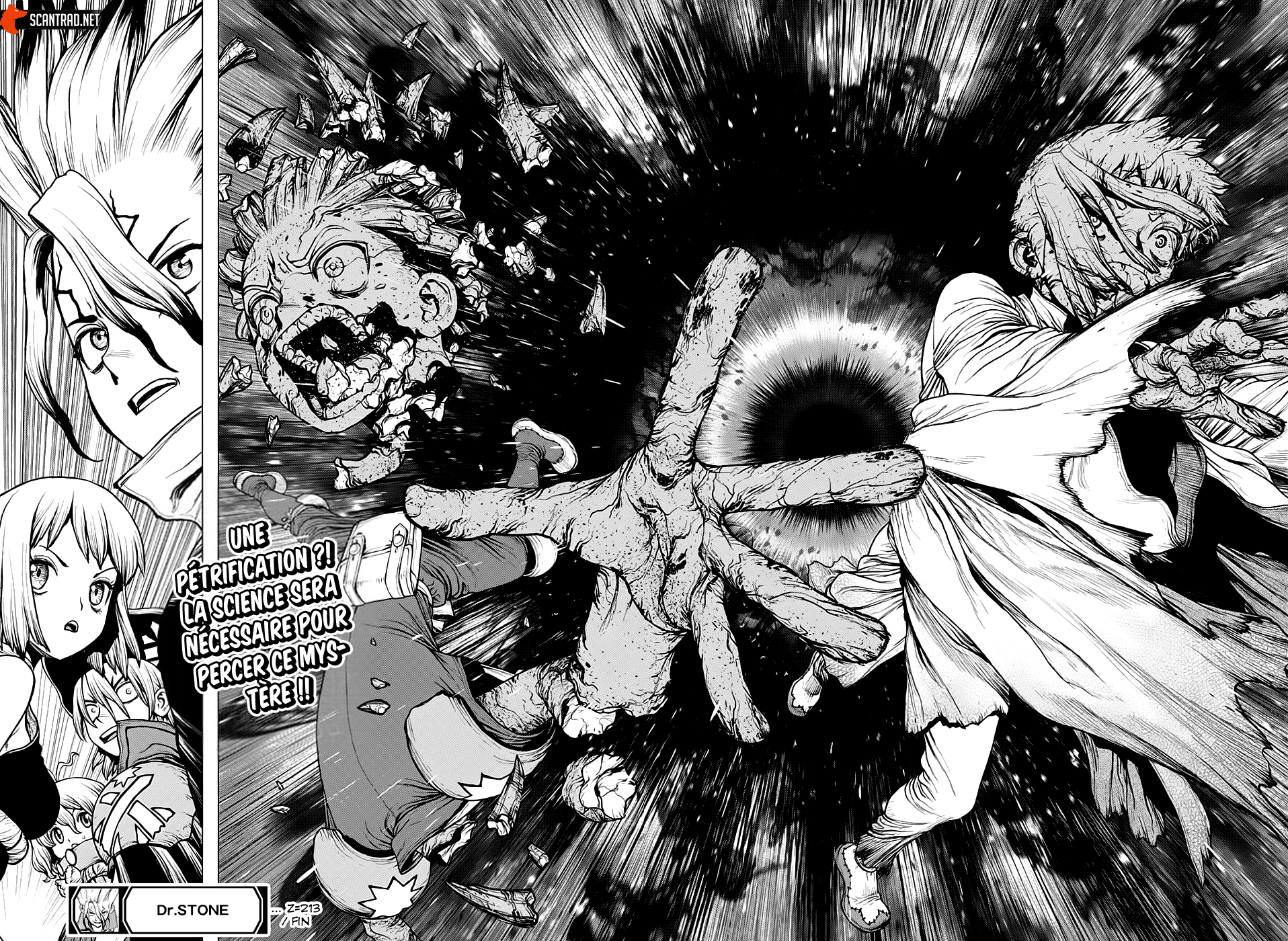 Read Dr. Stone FR Manga Online