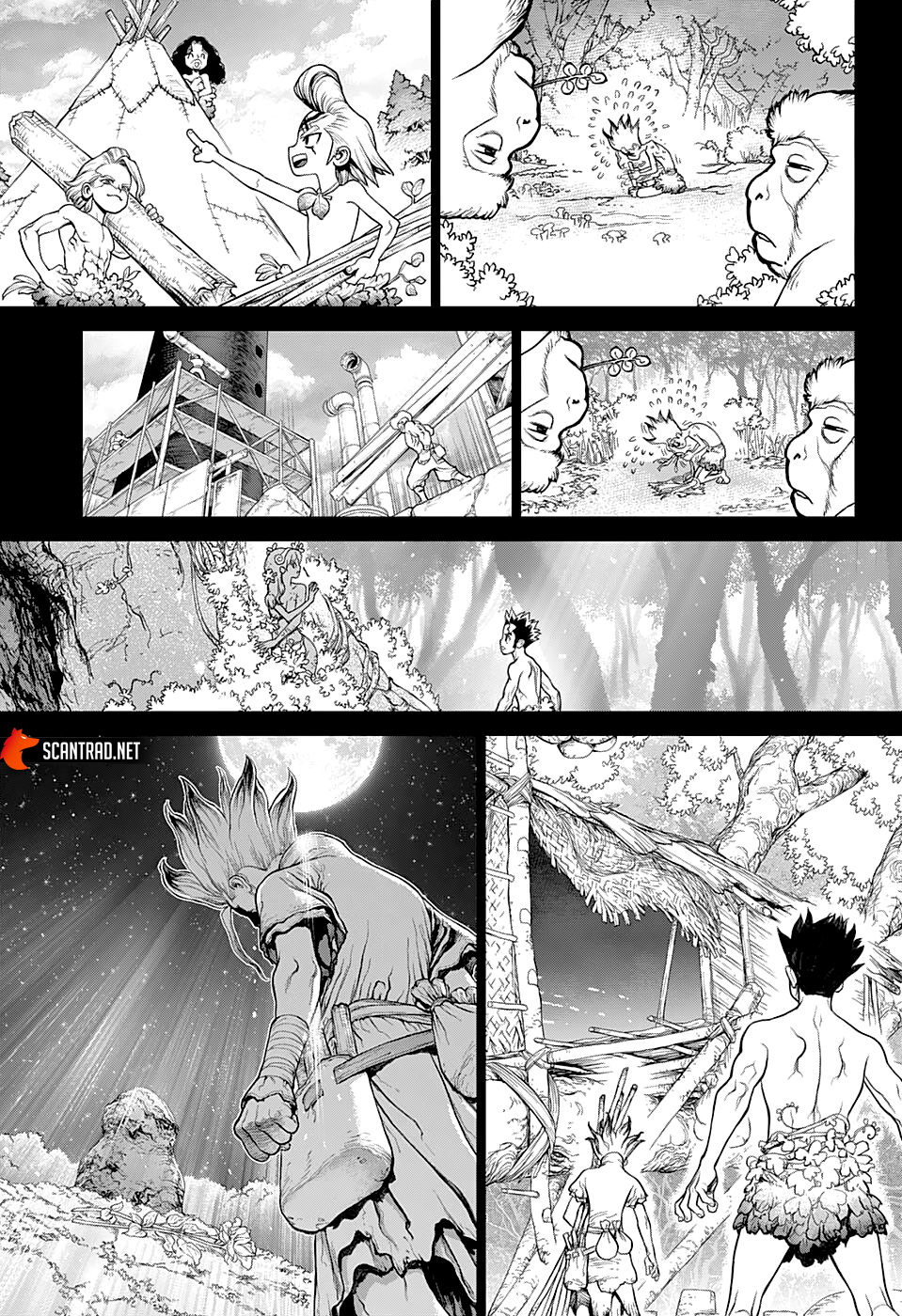 Read Dr. Stone FR Manga Online