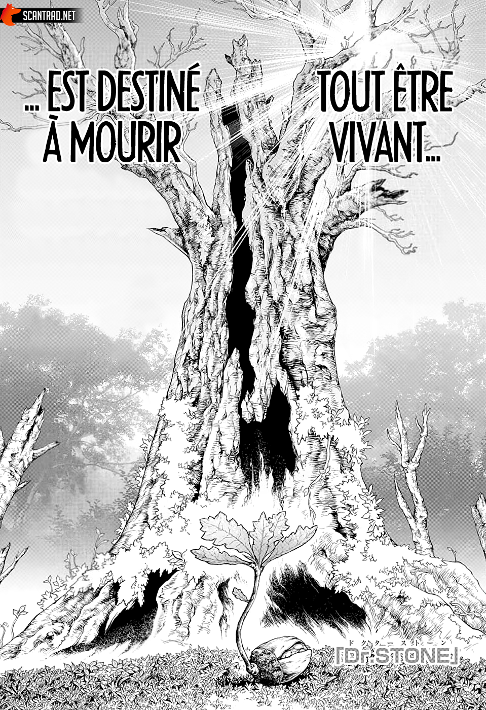 Read Dr. Stone FR Manga Online