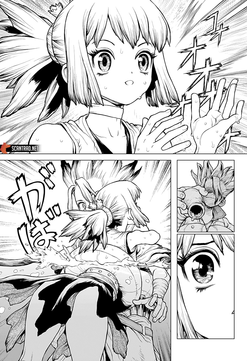 Read Dr. Stone FR Manga Online