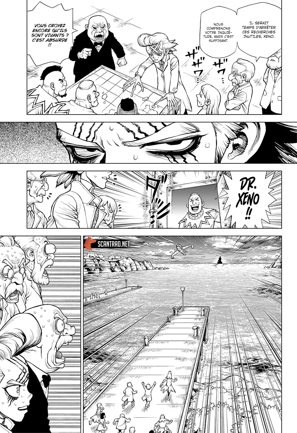 Read Dr. Stone FR Manga Online