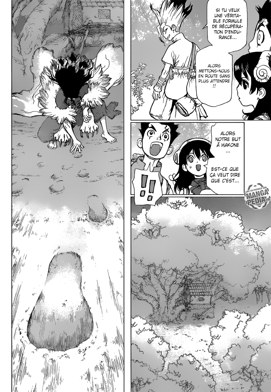 Read Dr. Stone FR Manga Online