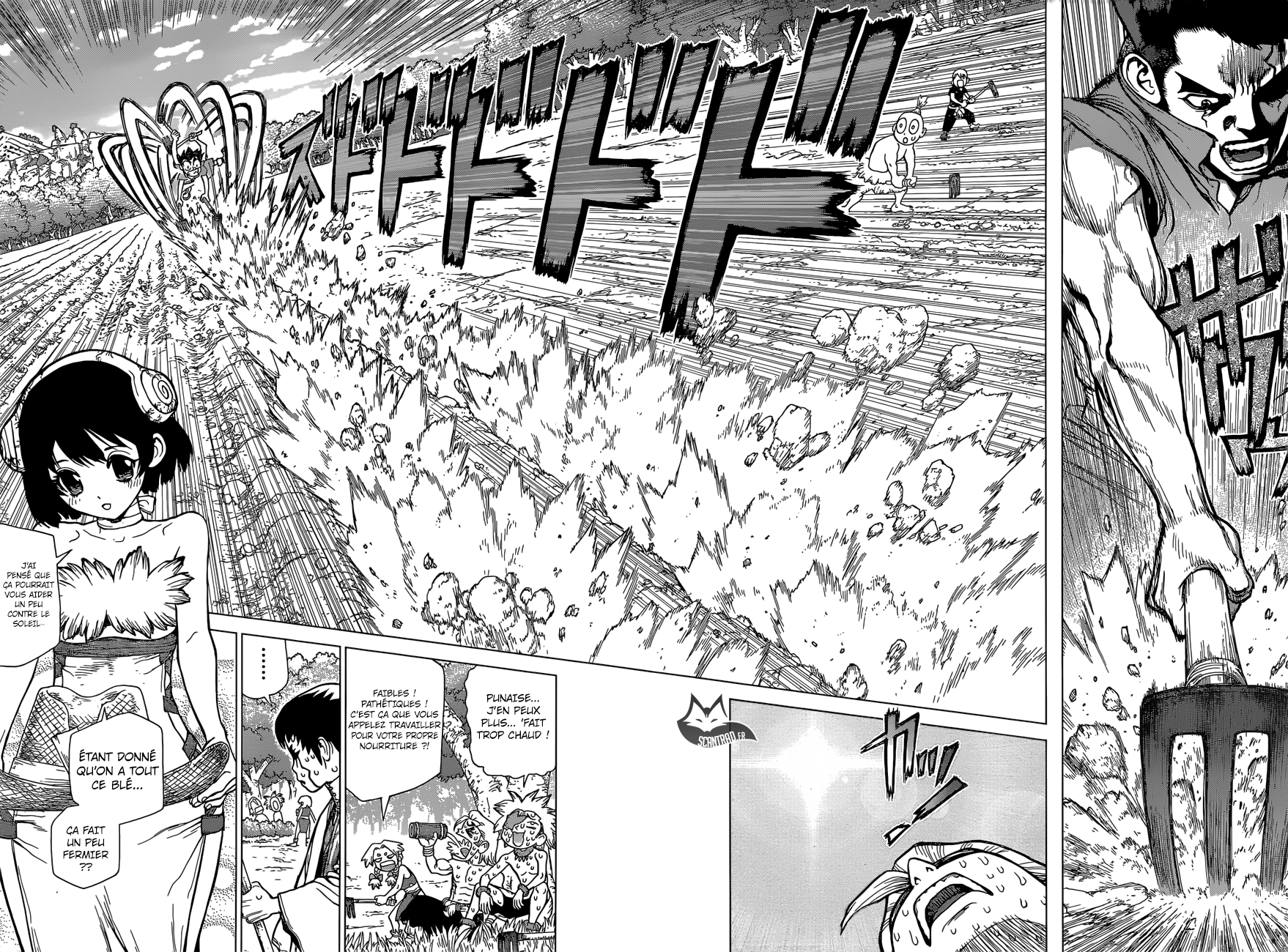 Read Dr. Stone FR Manga Online