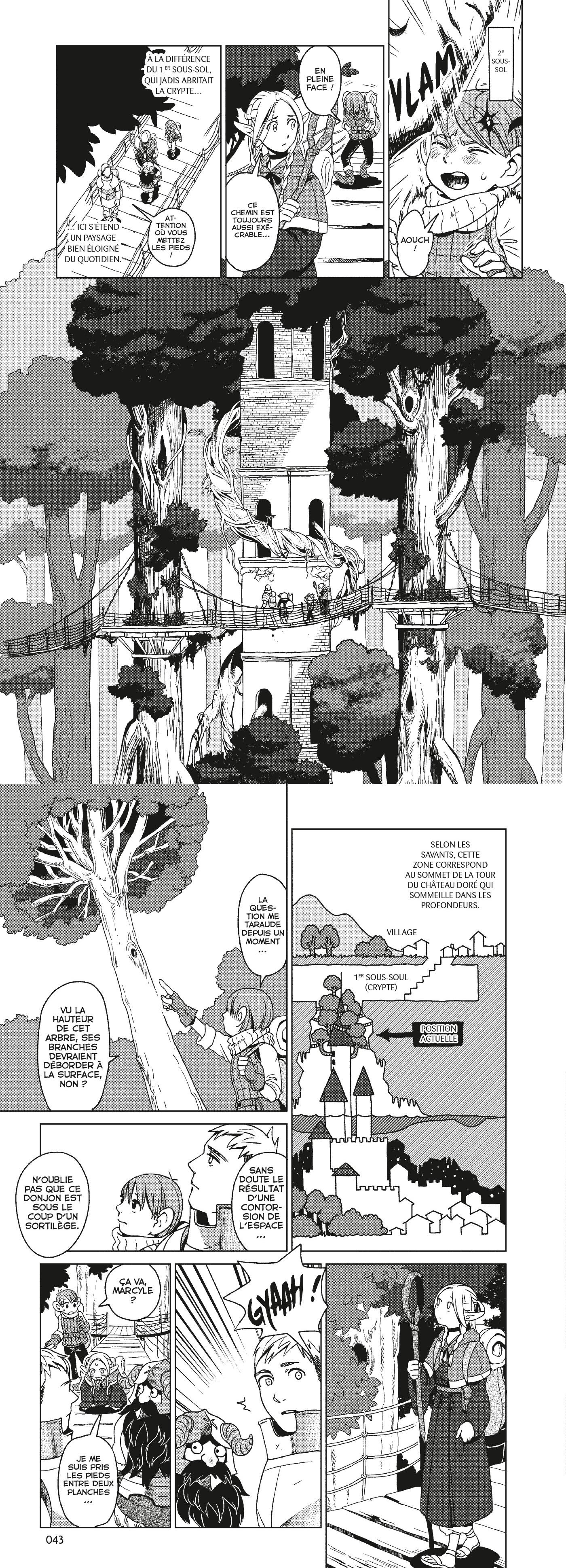 Read Dungeon Meshi FR Manga Online
