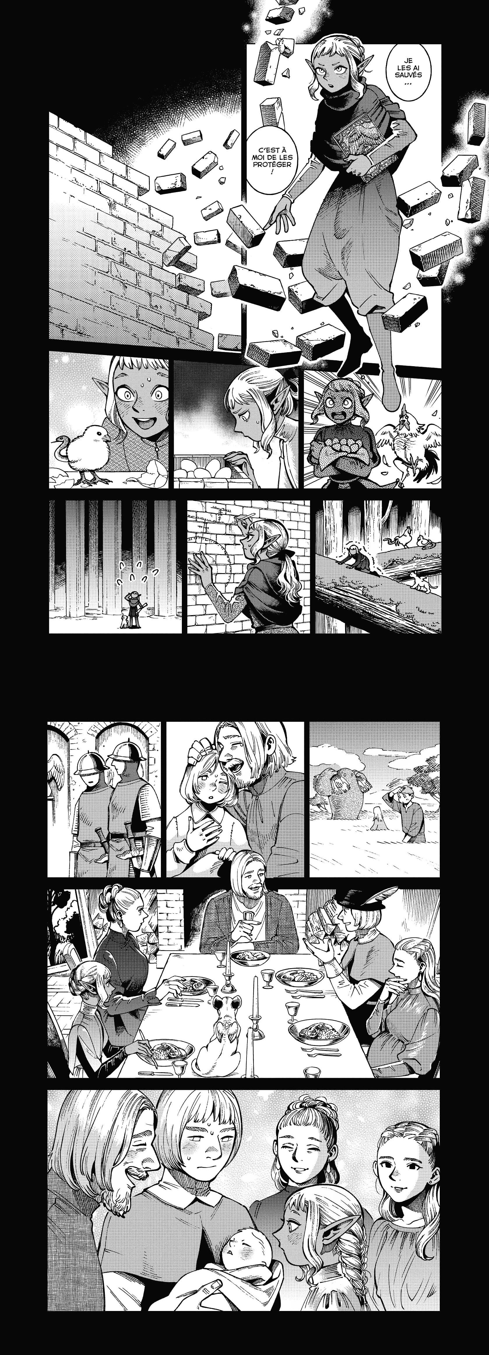 Read Dungeon Meshi FR Manga Online