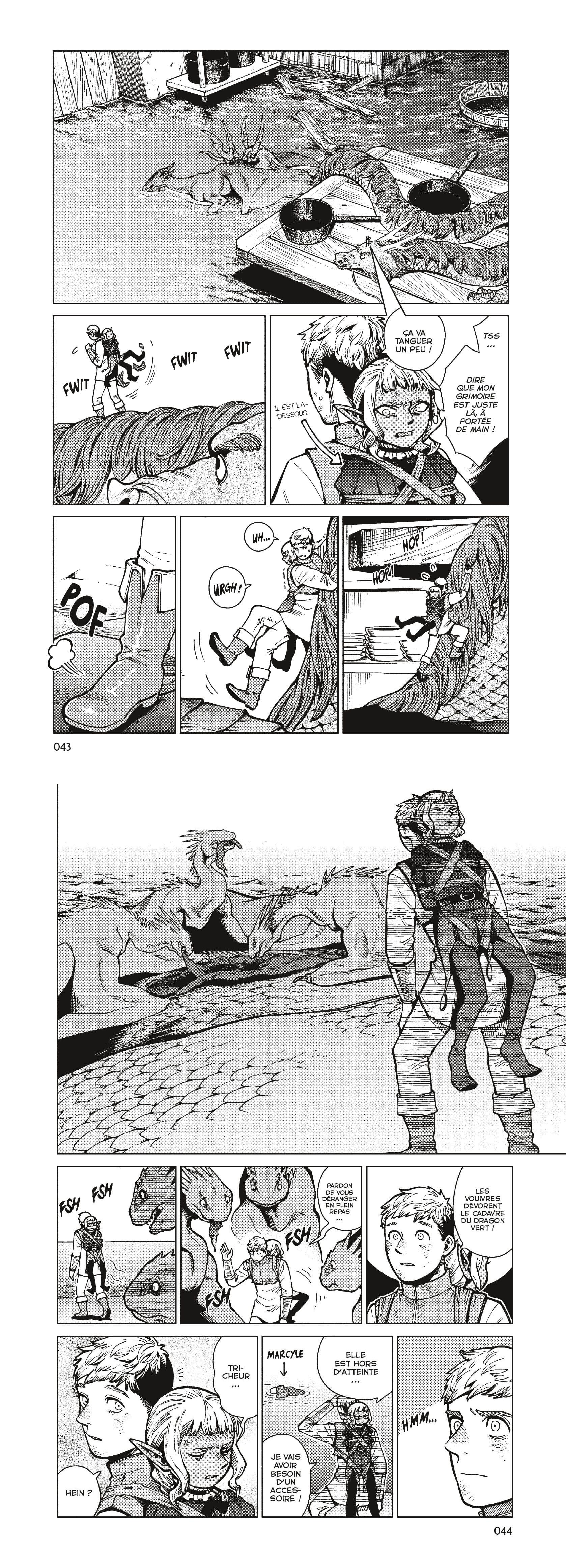 Read Dungeon Meshi FR Manga Online
