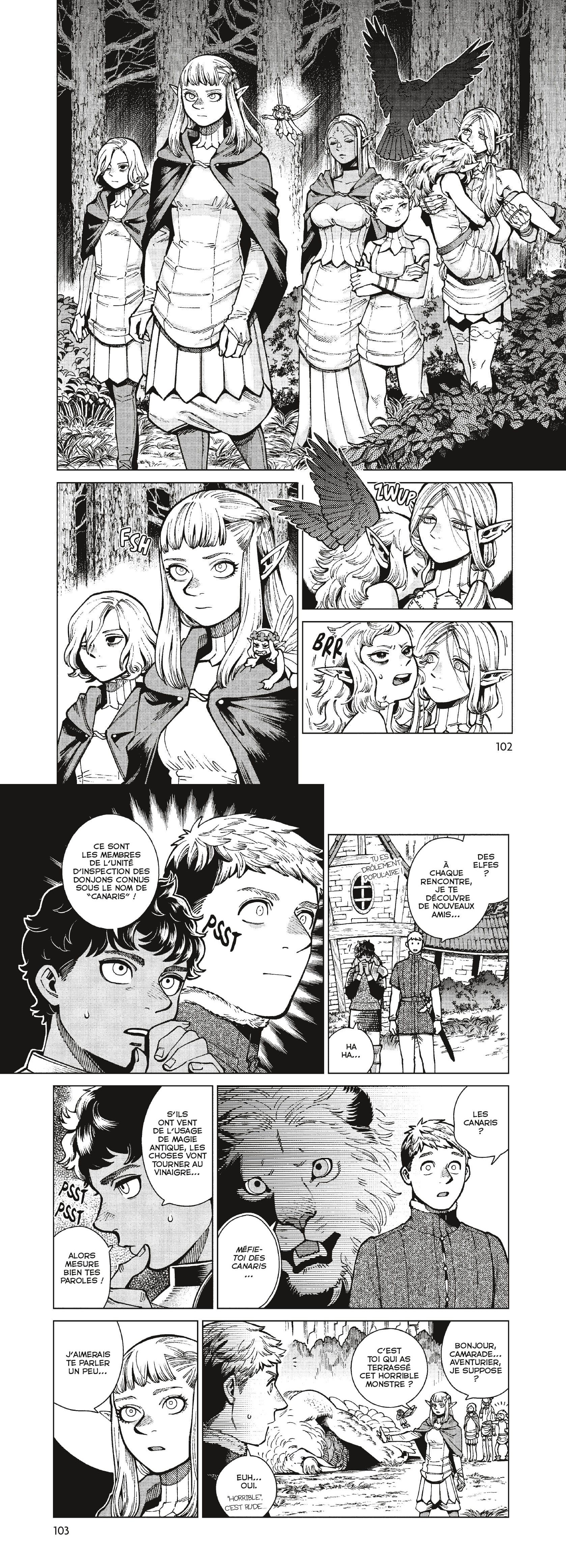 Read Dungeon Meshi FR Manga Online