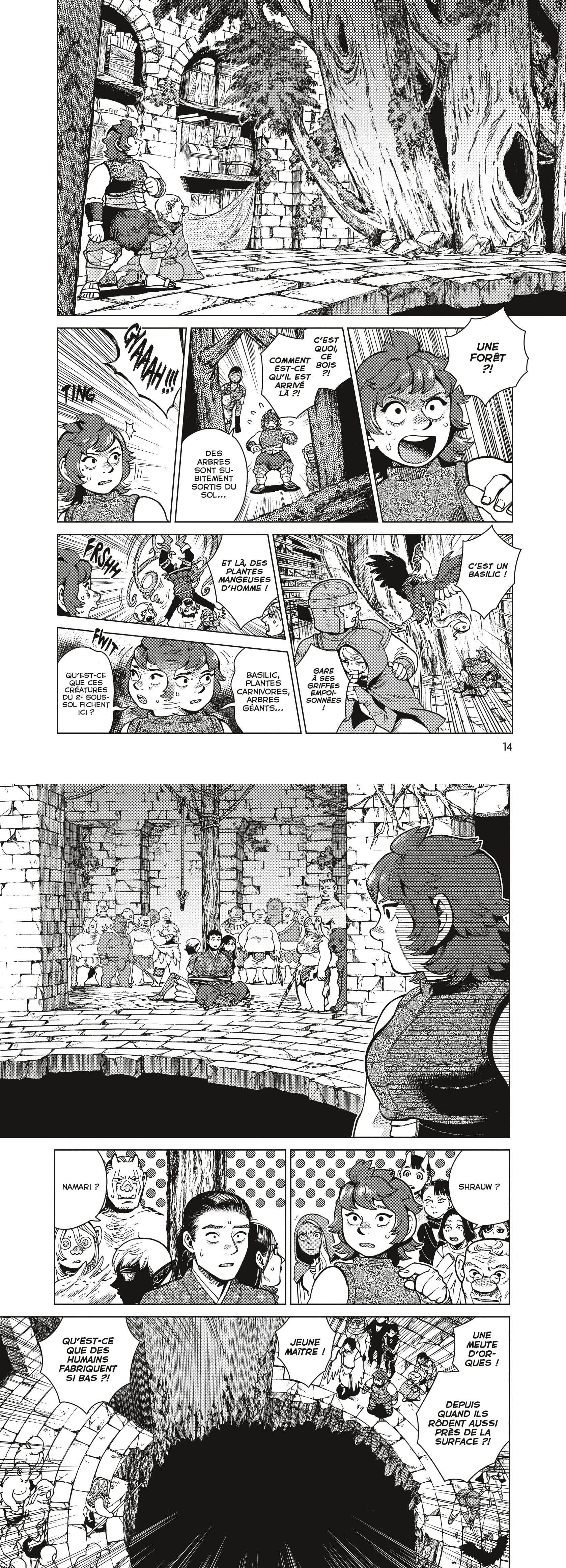 Read Dungeon Meshi FR Manga Online