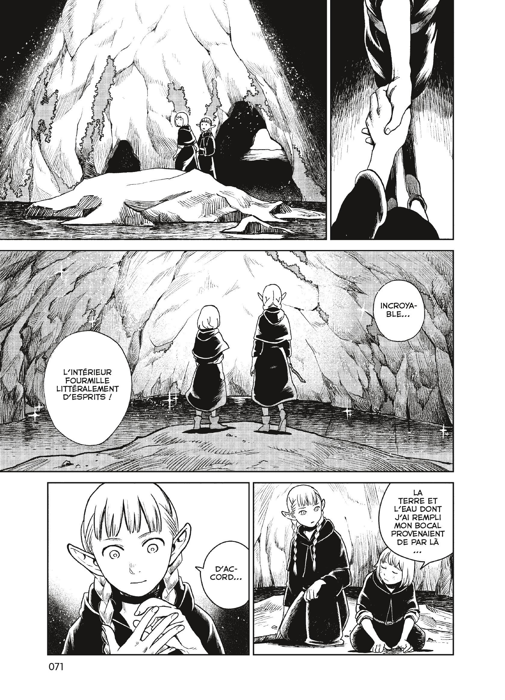 Read Dungeon Meshi FR Manga Online