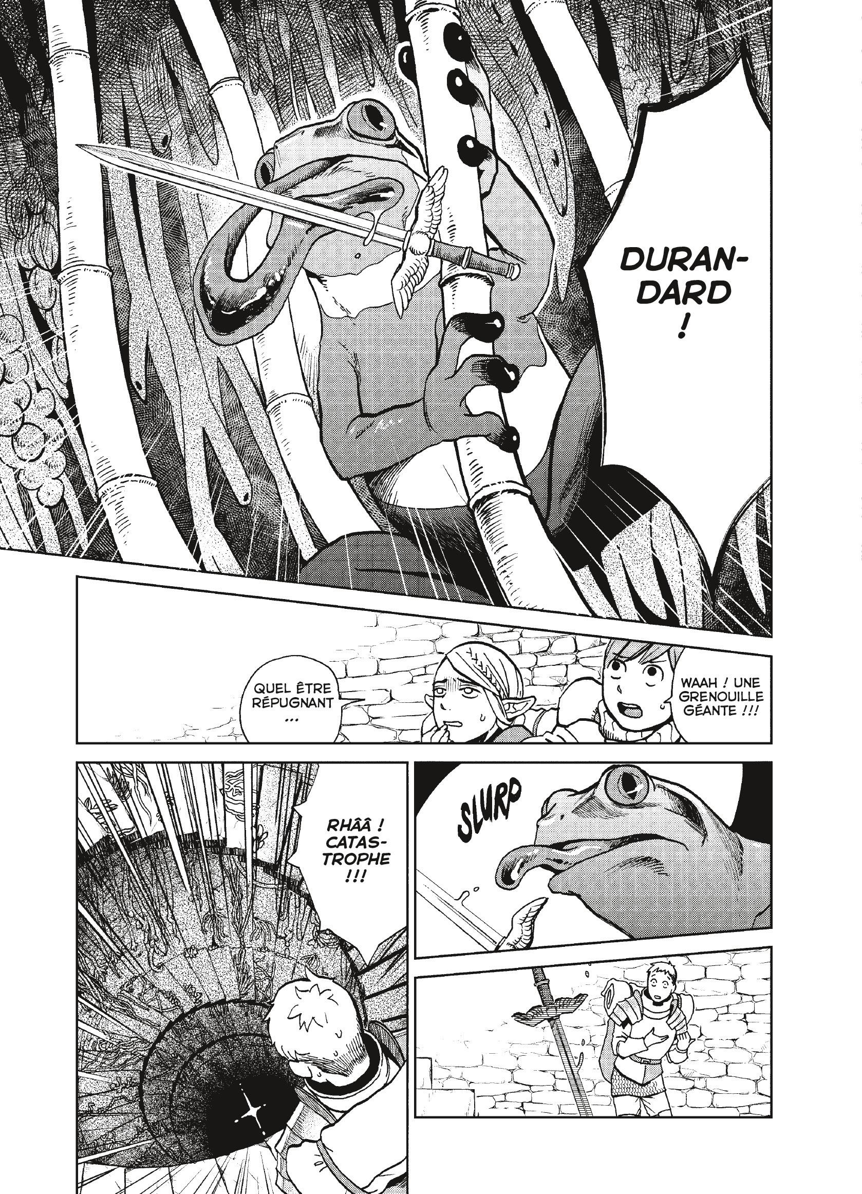 Read Dungeon Meshi FR Manga Online