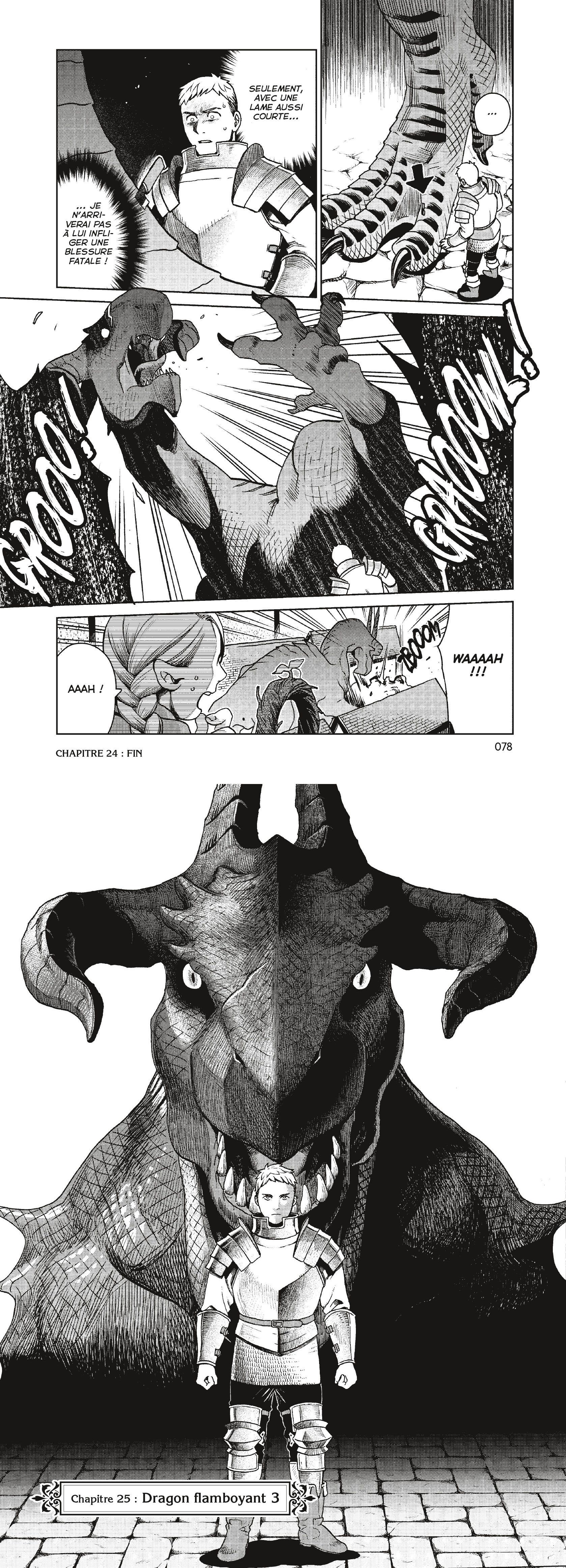 Read Dungeon Meshi FR Manga Online