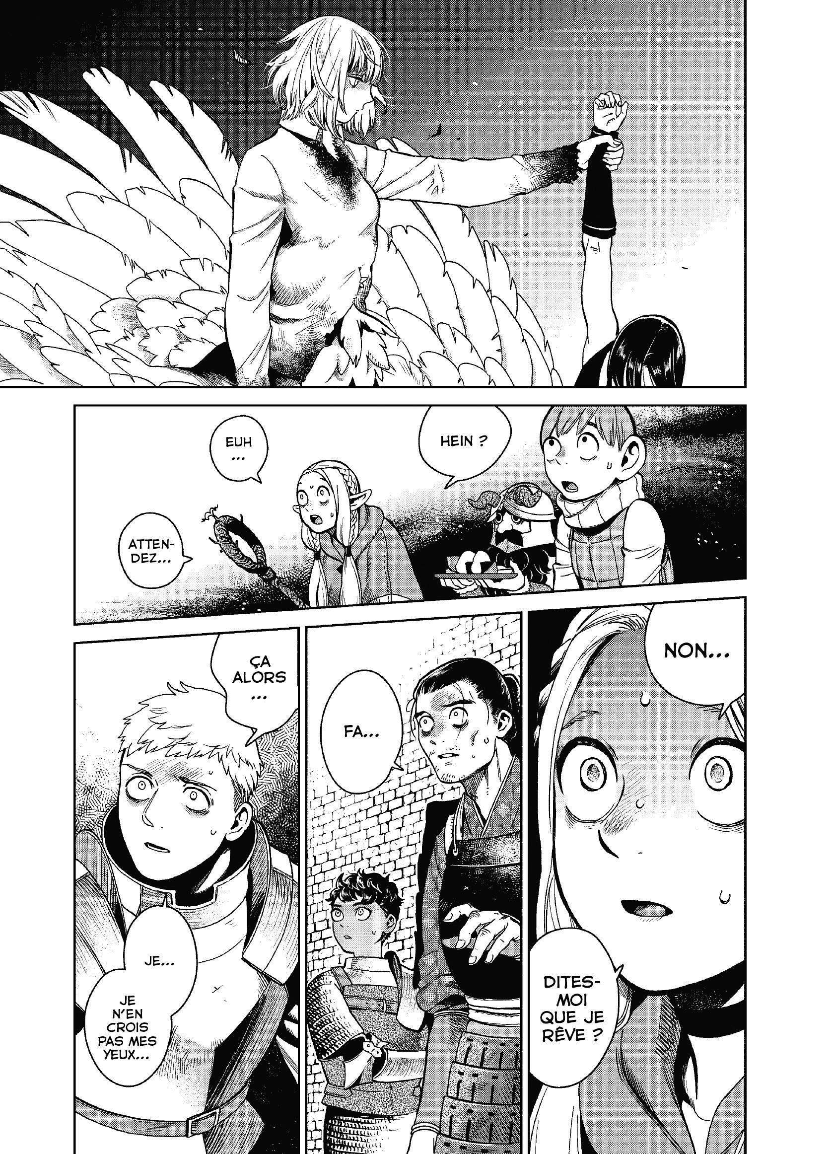 Read Dungeon Meshi FR Manga Online