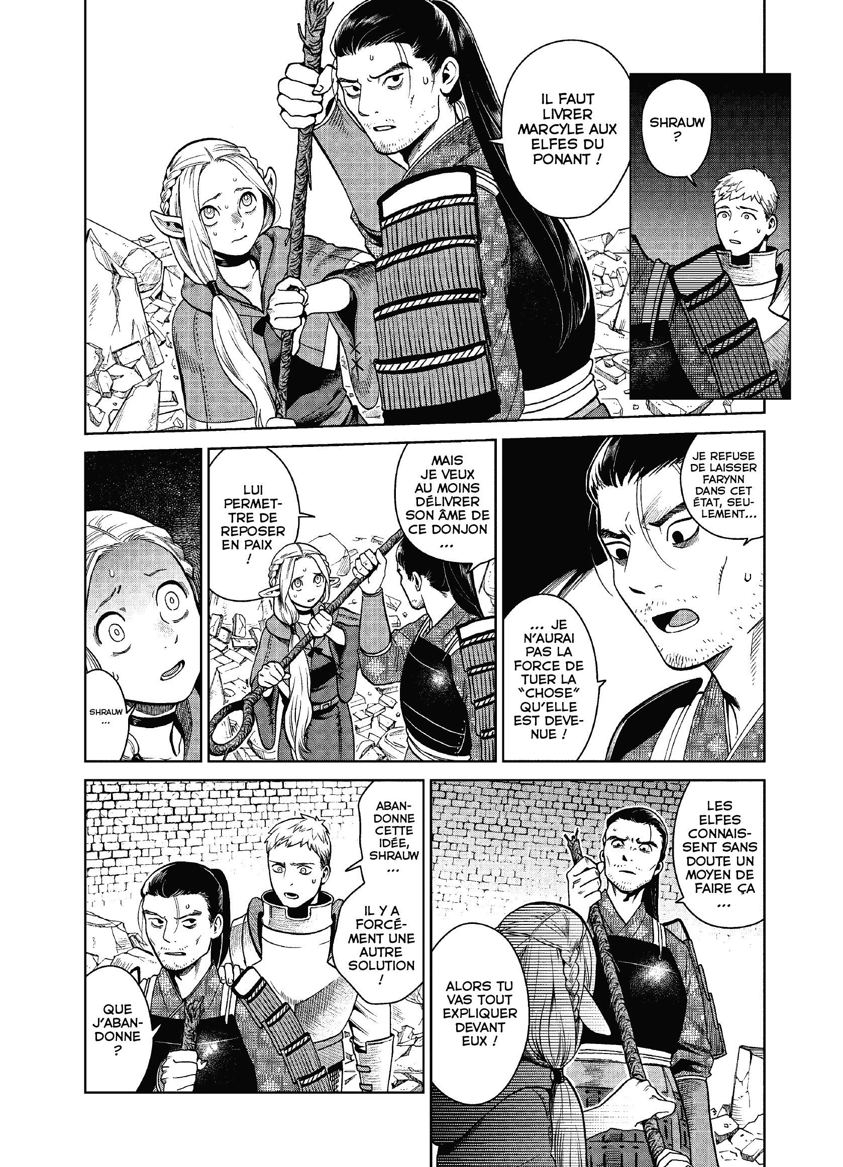 Read Dungeon Meshi FR Manga Online