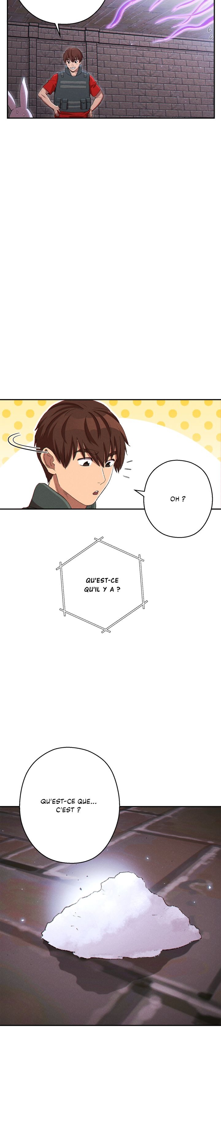Read Dungeon Reset FR Manga Online