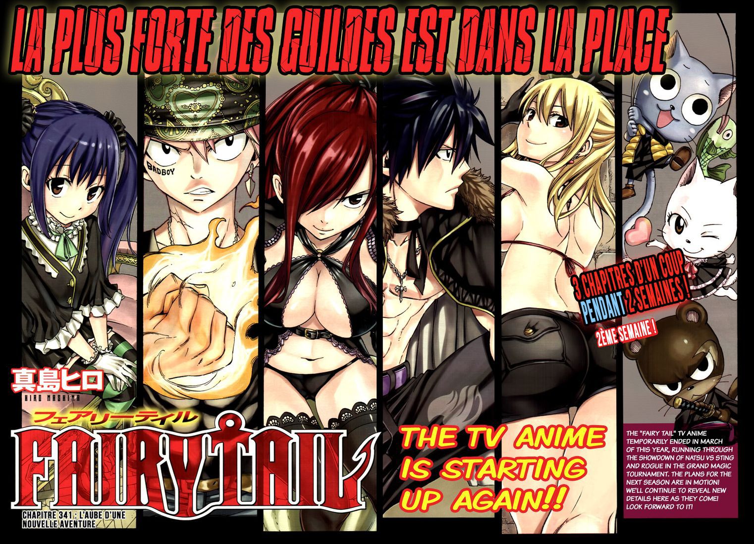 Read Fairy Tail FR Manga Online