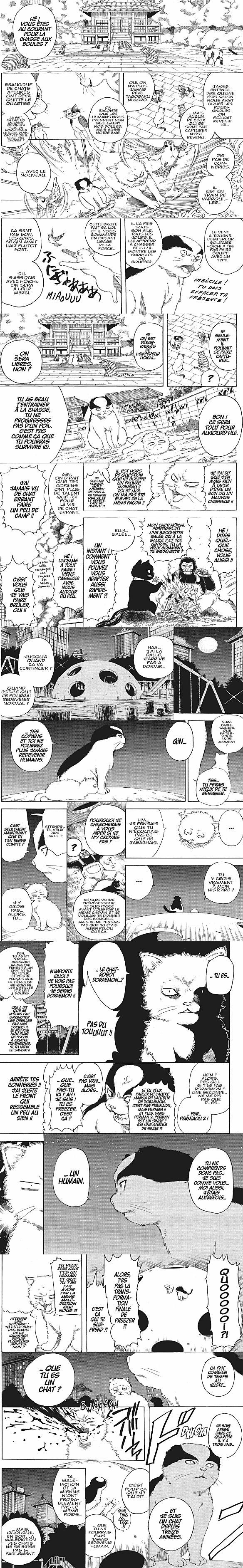 Read Gintama FR Manga Online
