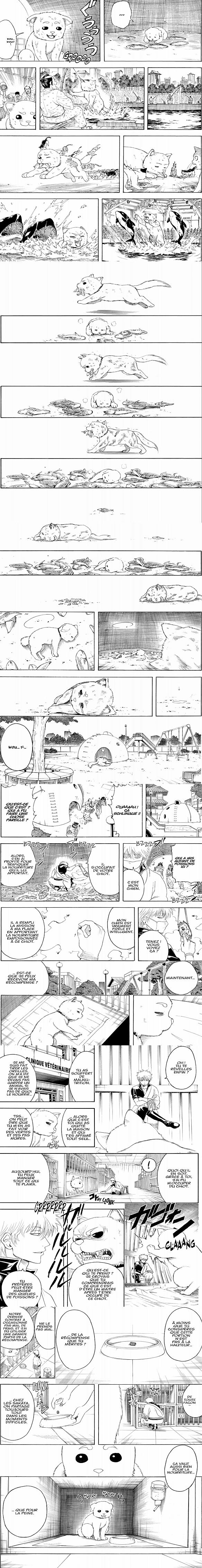 Read Gintama FR Manga Online