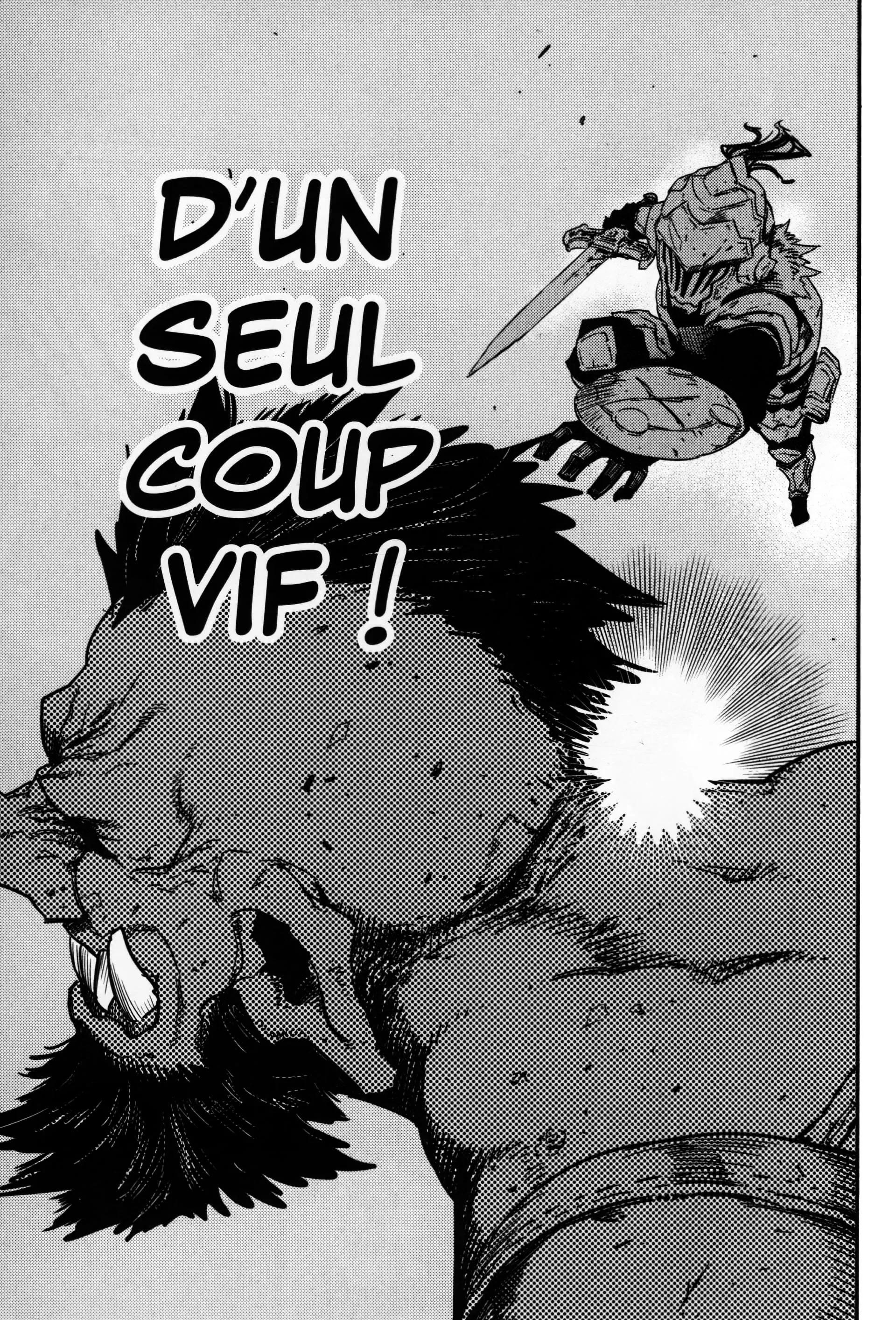 Read Goblin Slayer FR Manga Online