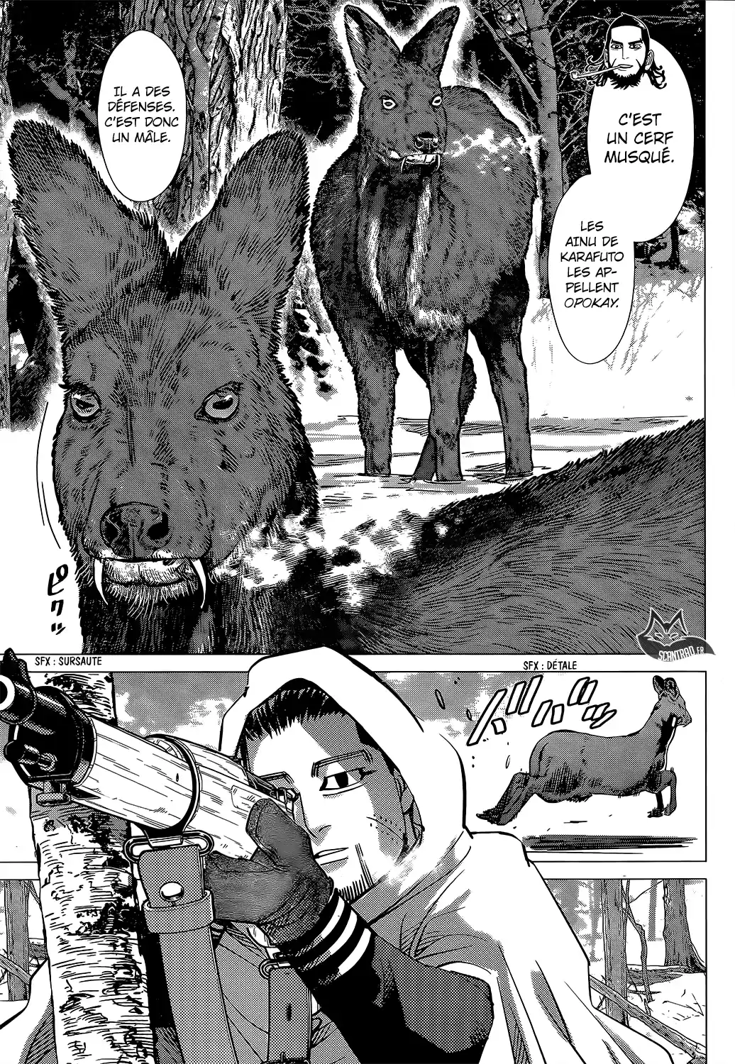 Read Golden Kamui FR Manga Online