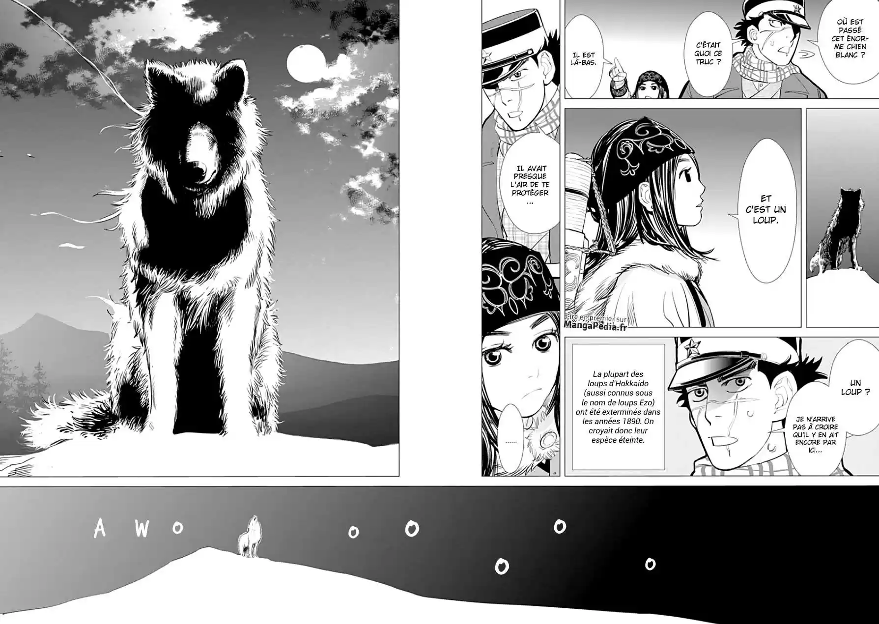 Read Golden Kamui FR Manga Online