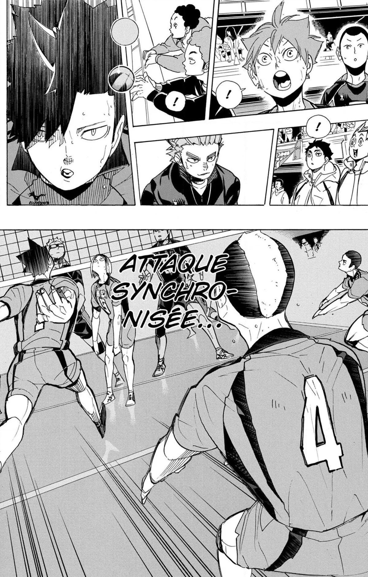 Read Haikyuu FR Manga Online