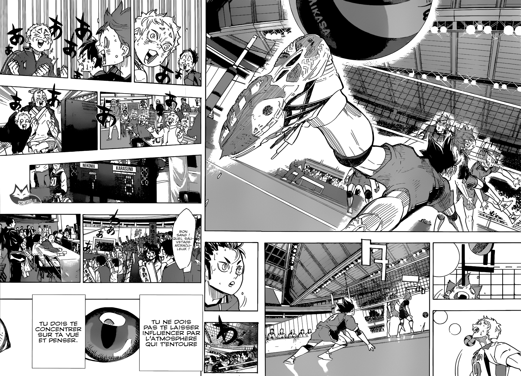 Read Haikyuu FR Manga Online