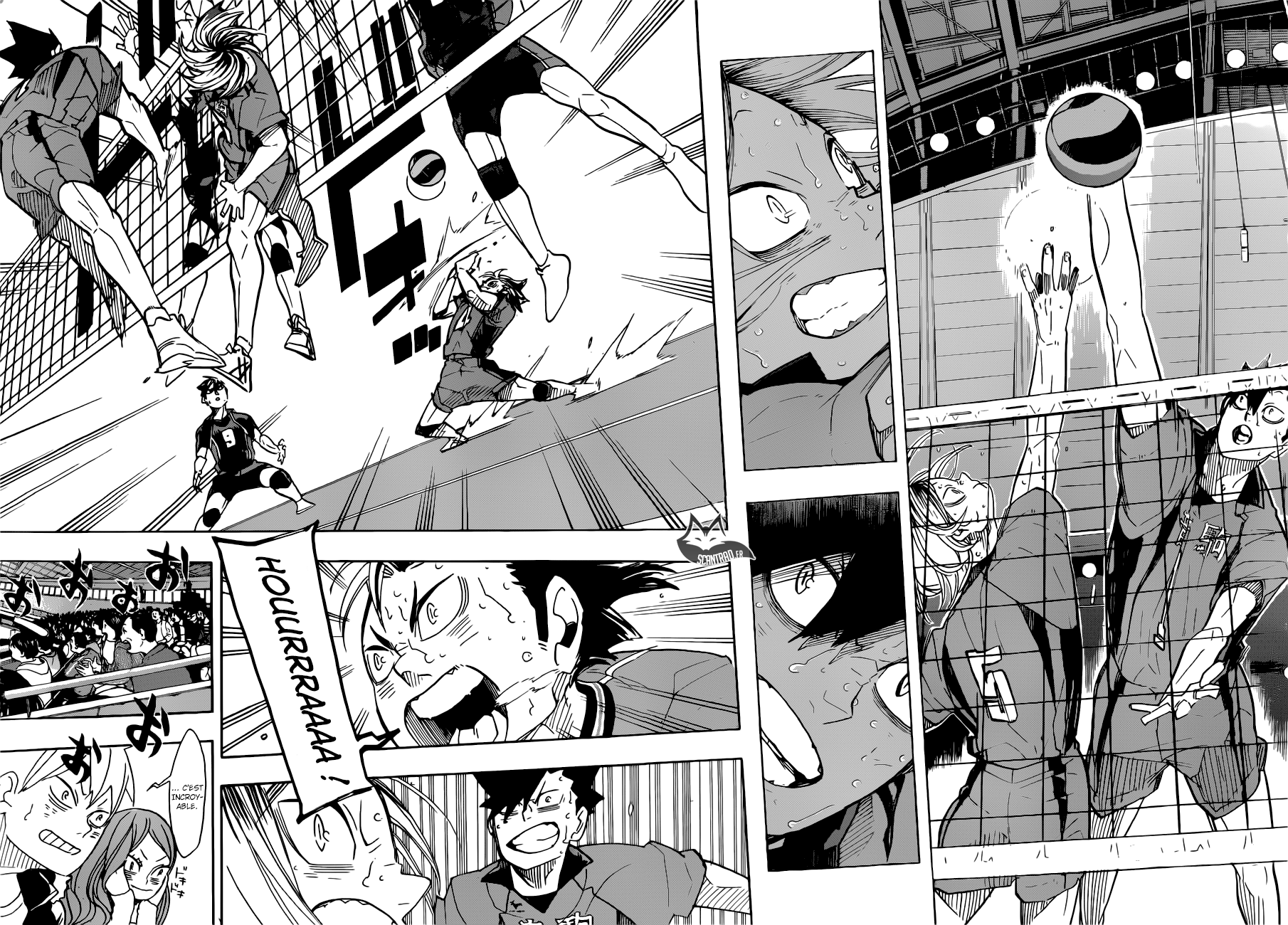 Read Haikyuu FR Manga Online