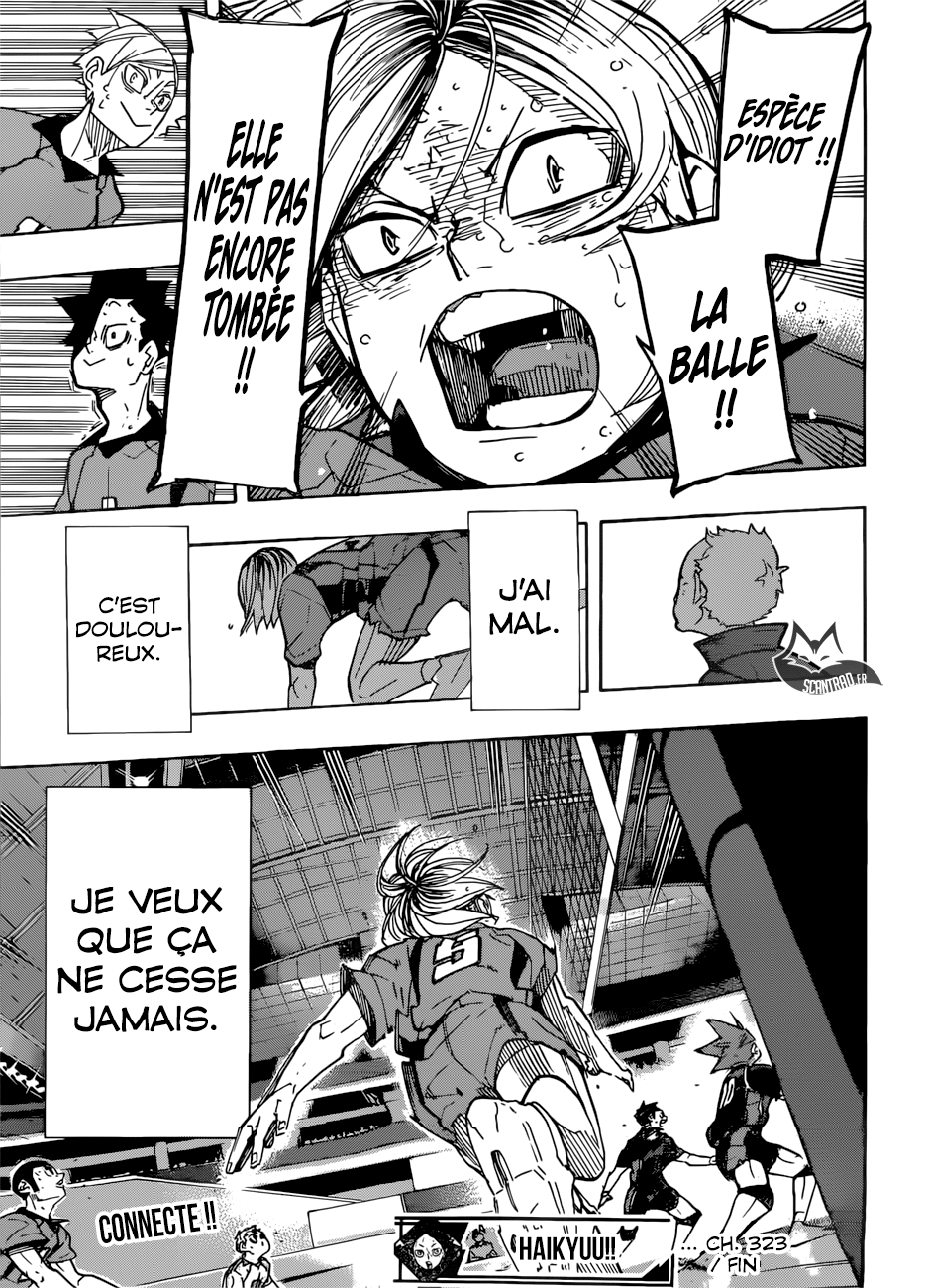 Read Haikyuu FR Manga Online
