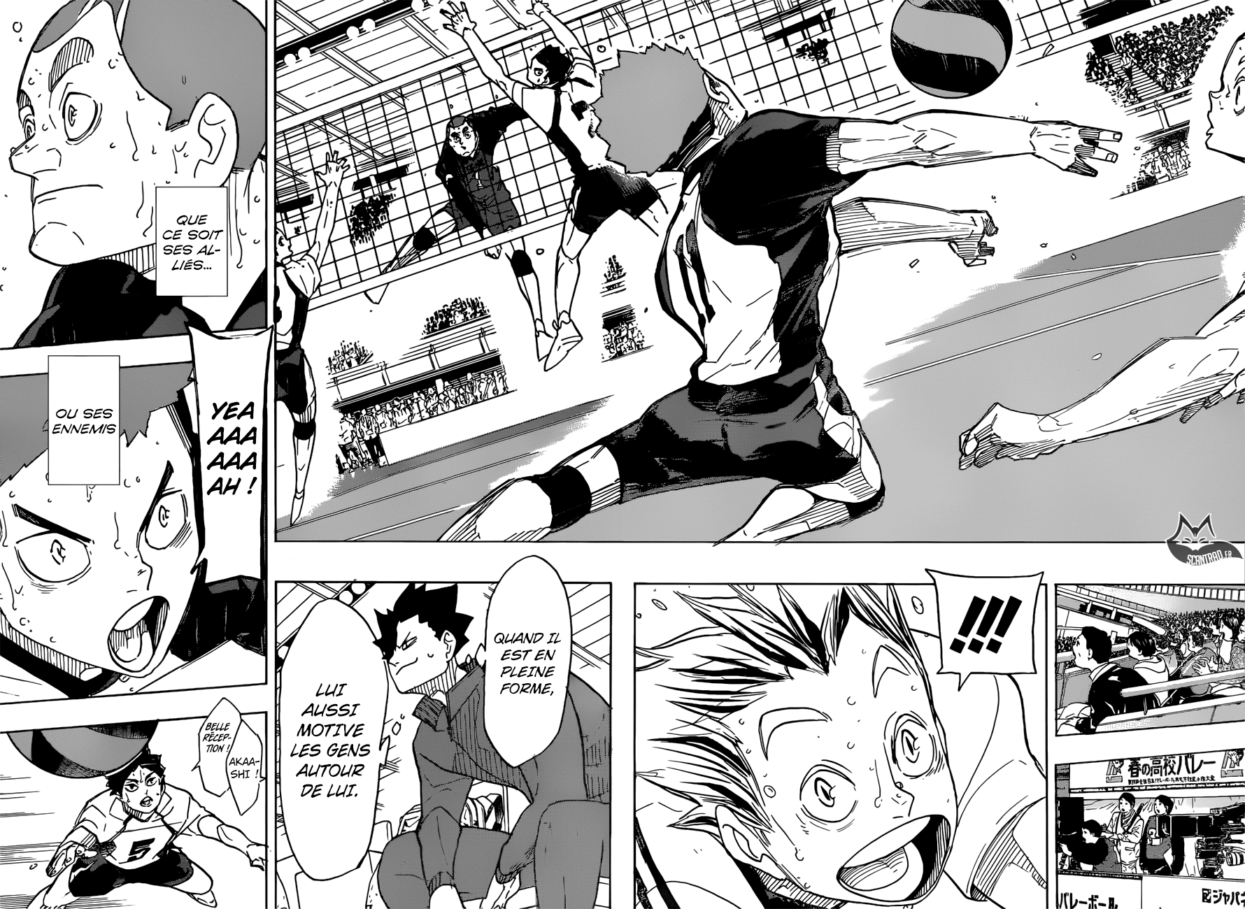Read Haikyuu FR Manga Online