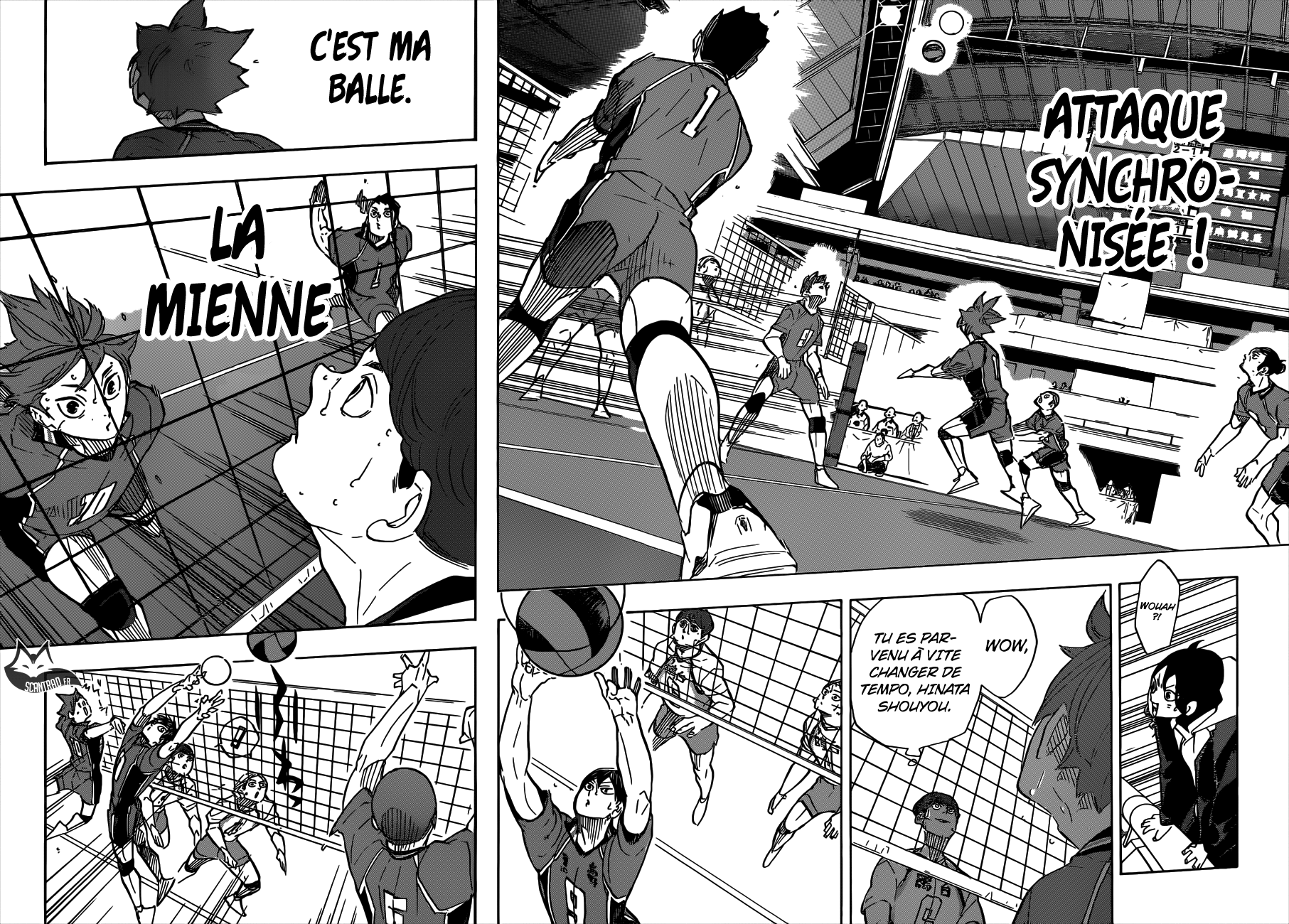 Read Haikyuu FR Manga Online
