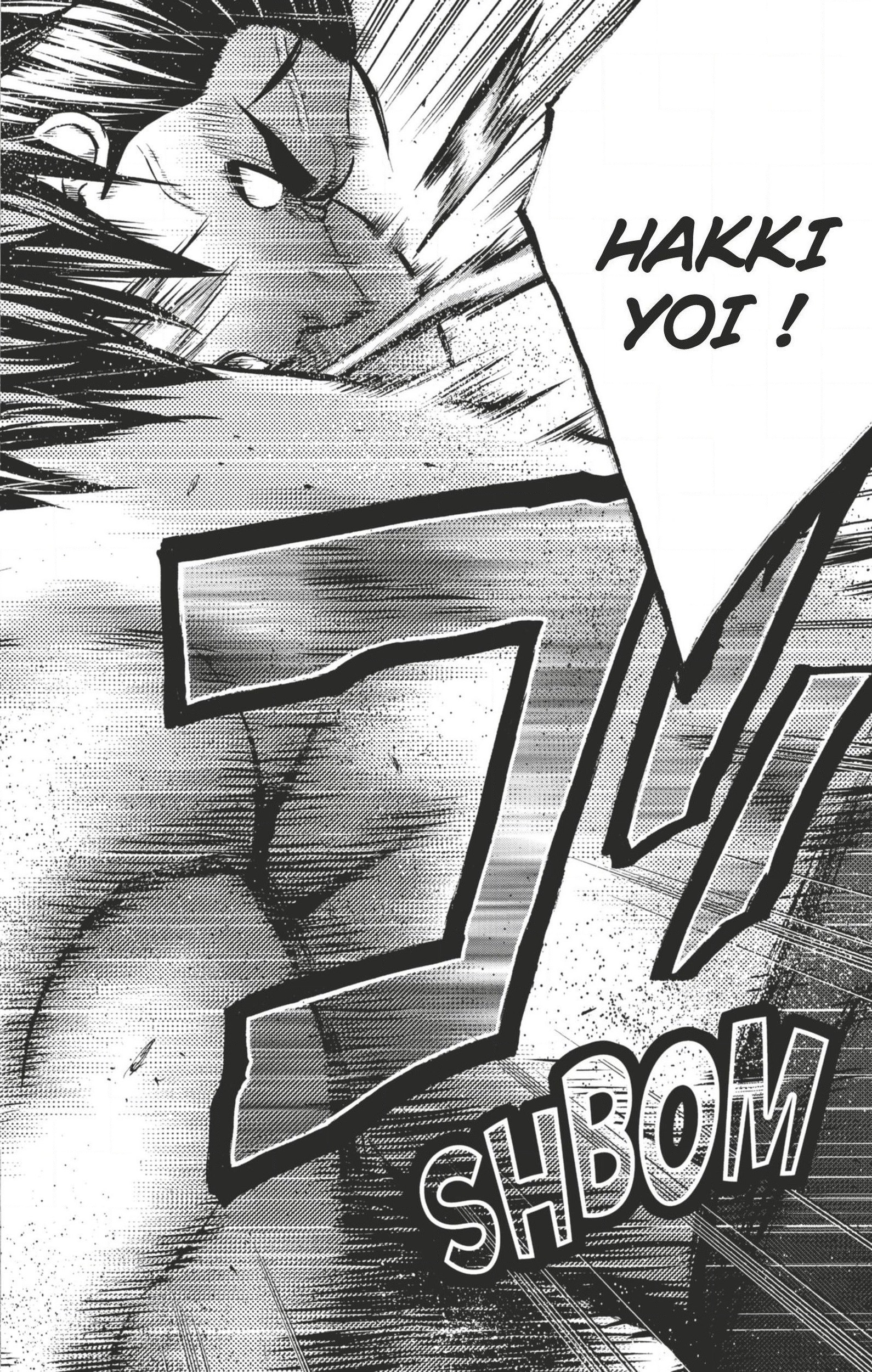 Read Hinomaru Zumou FR Manga Online