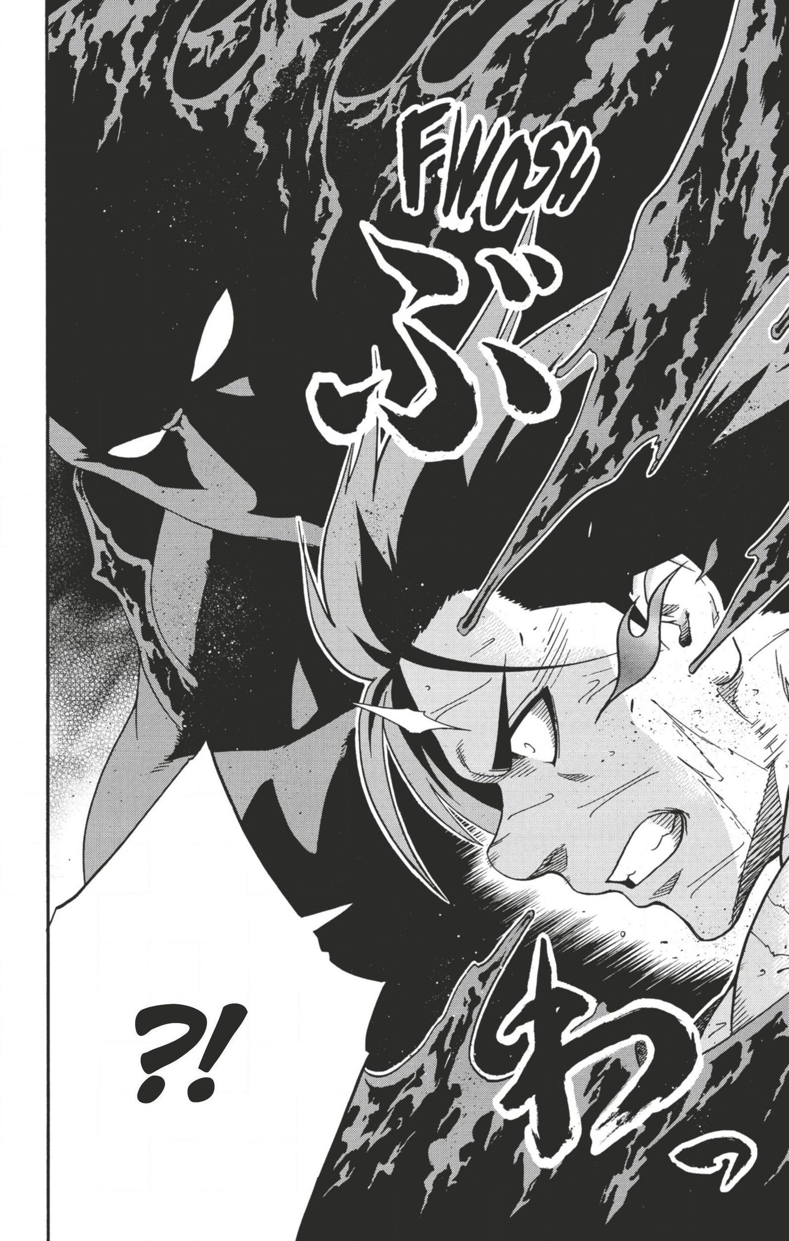Read Hinomaru Zumou FR Manga Online