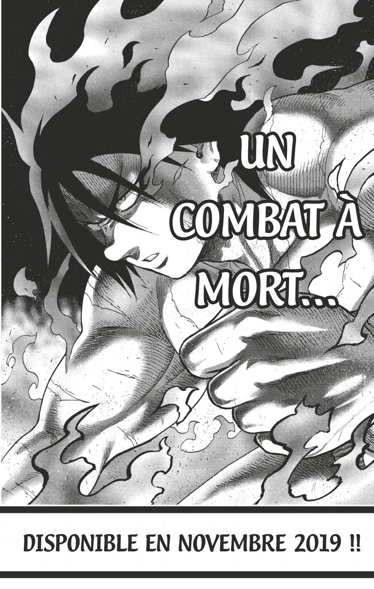 Read Hinomaru Zumou FR Manga Online
