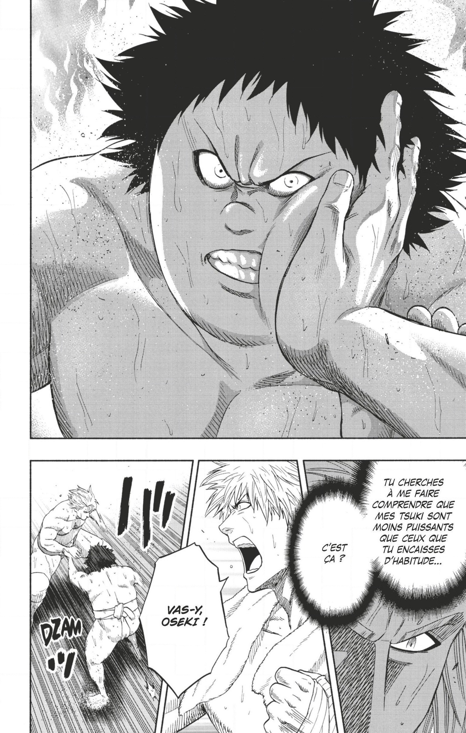 Read Hinomaru Zumou FR Manga Online