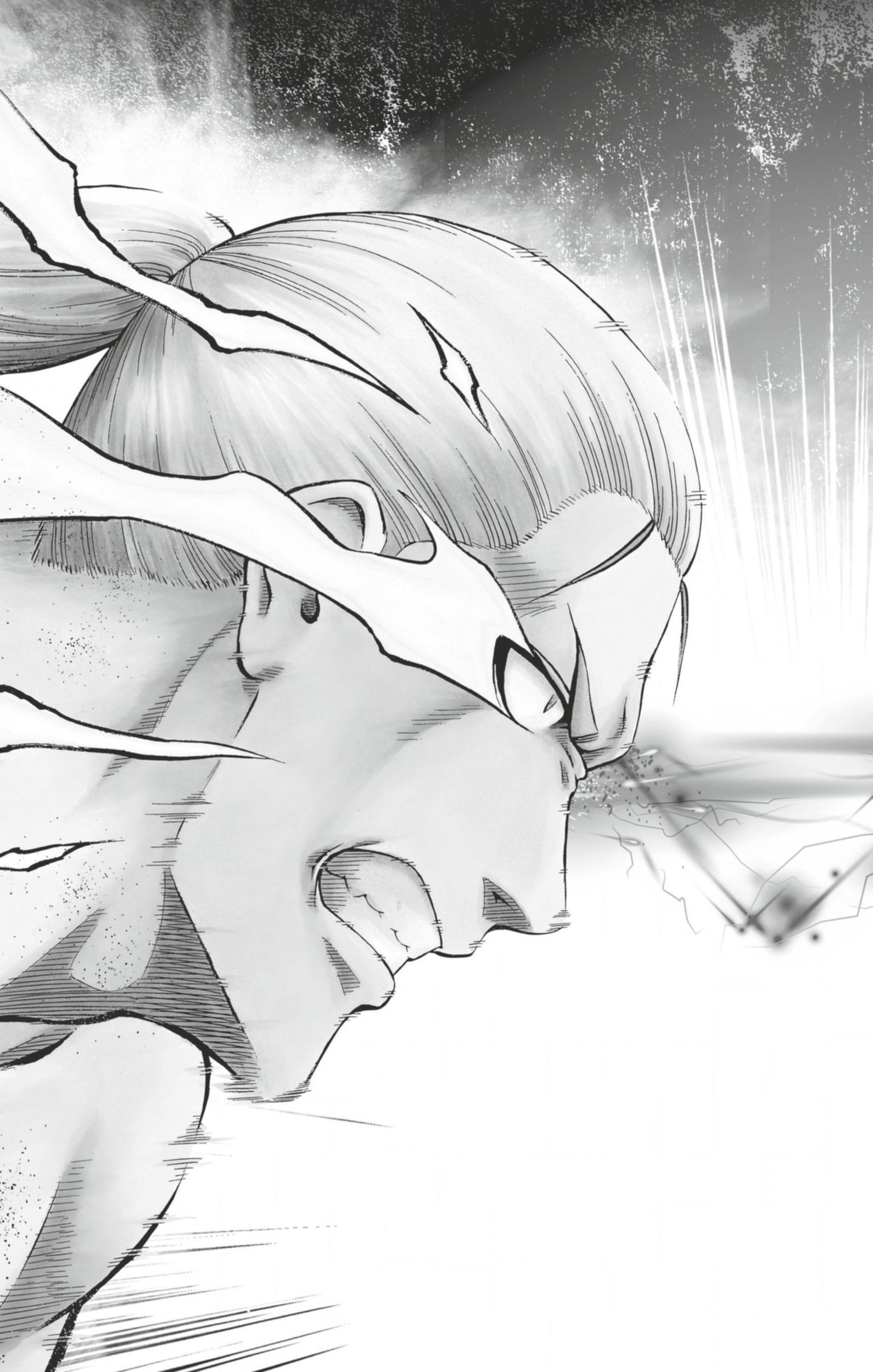 Read Hinomaru Zumou FR Manga Online