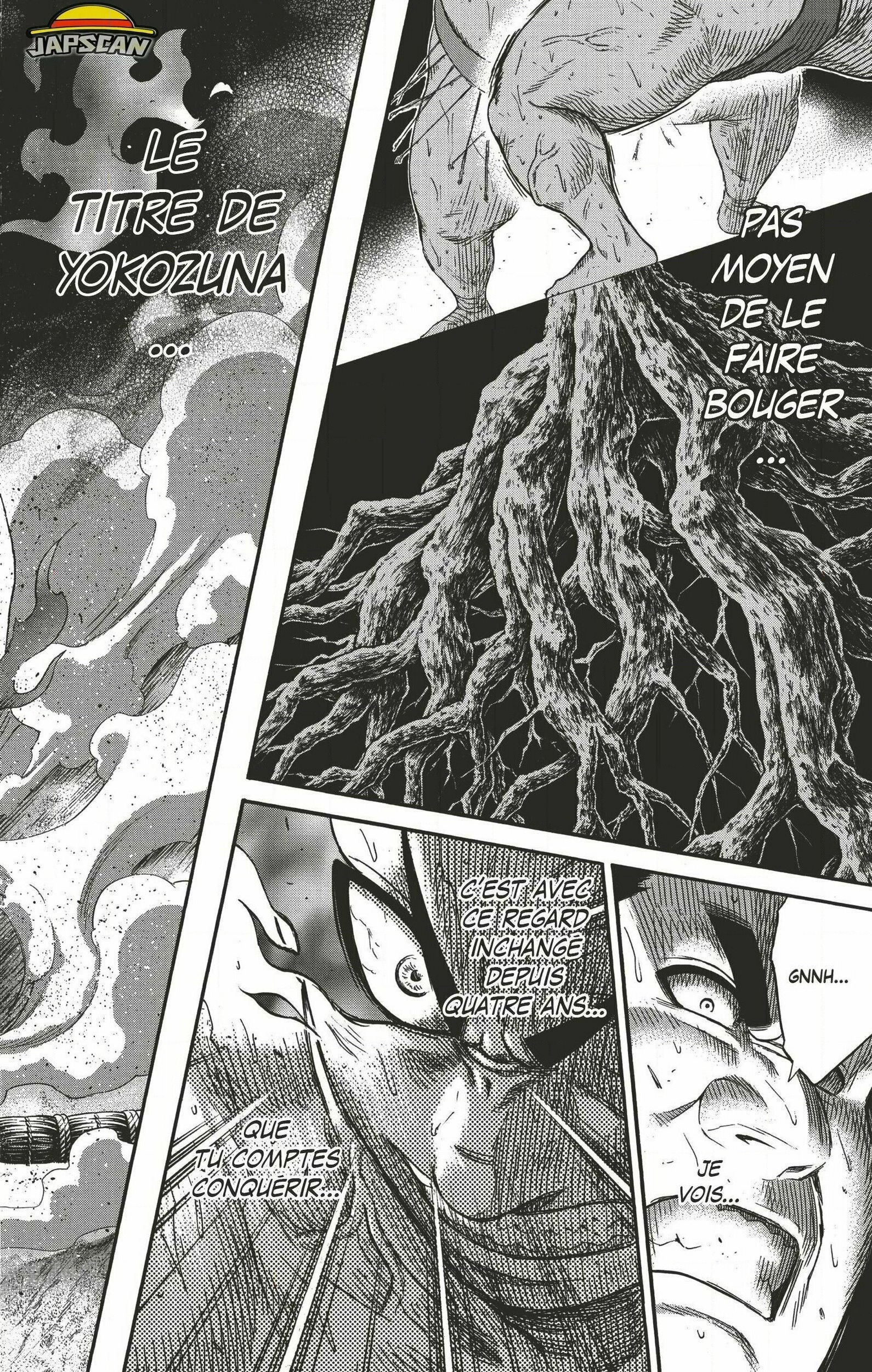 Read Hinomaru Zumou FR Manga Online