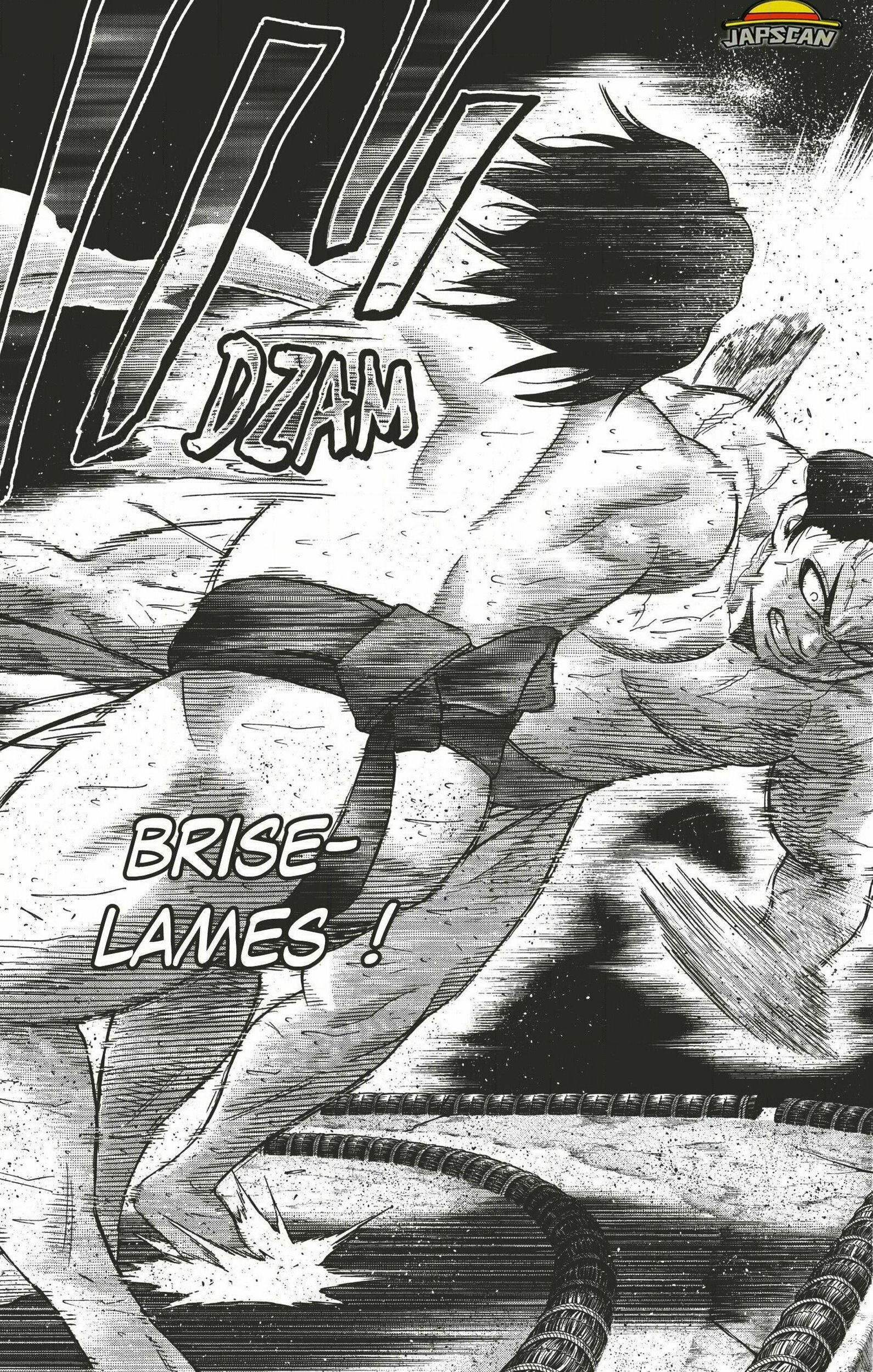 Read Hinomaru Zumou FR Manga Online