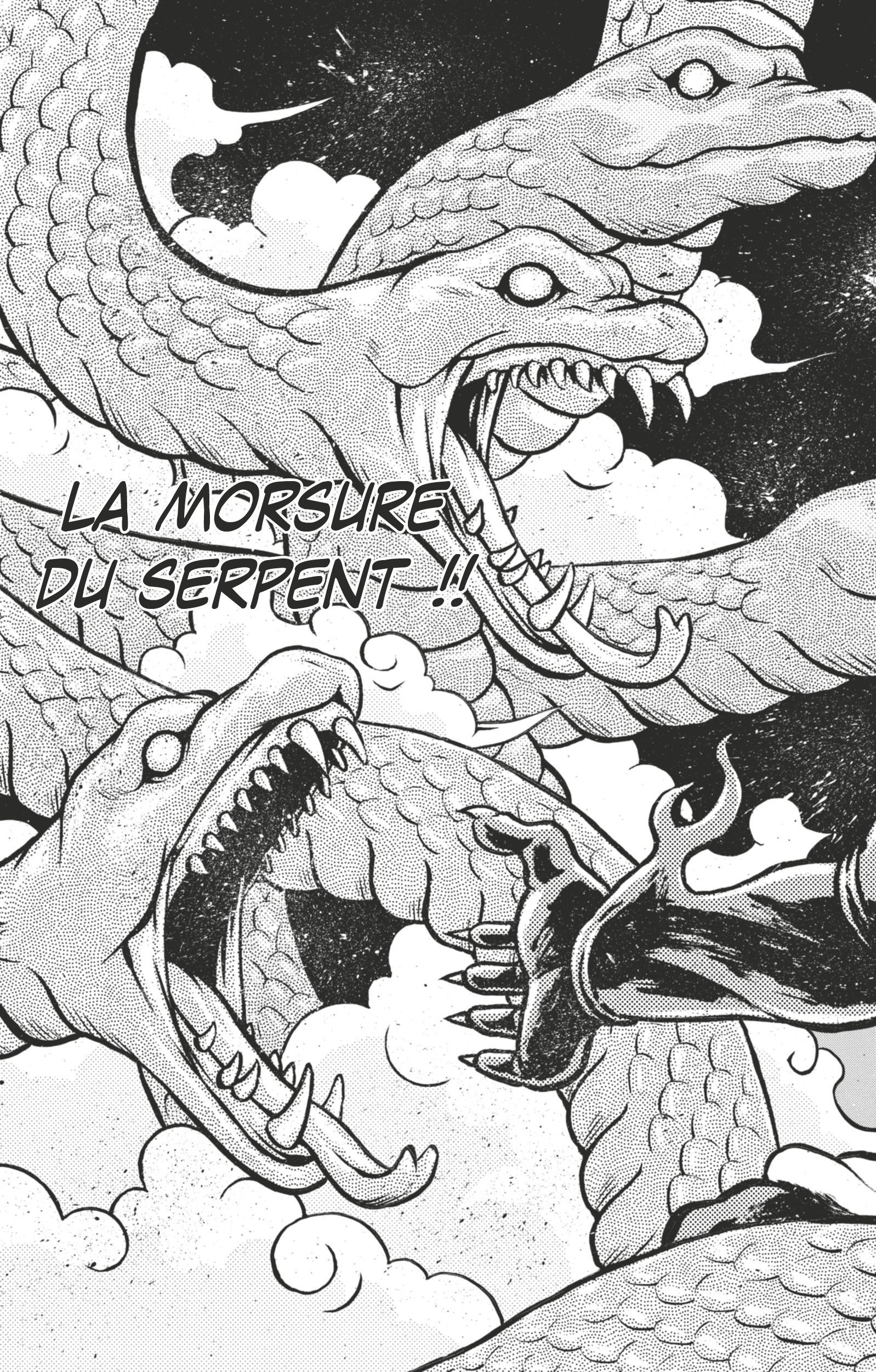 Read Hinomaru Zumou FR Manga Online