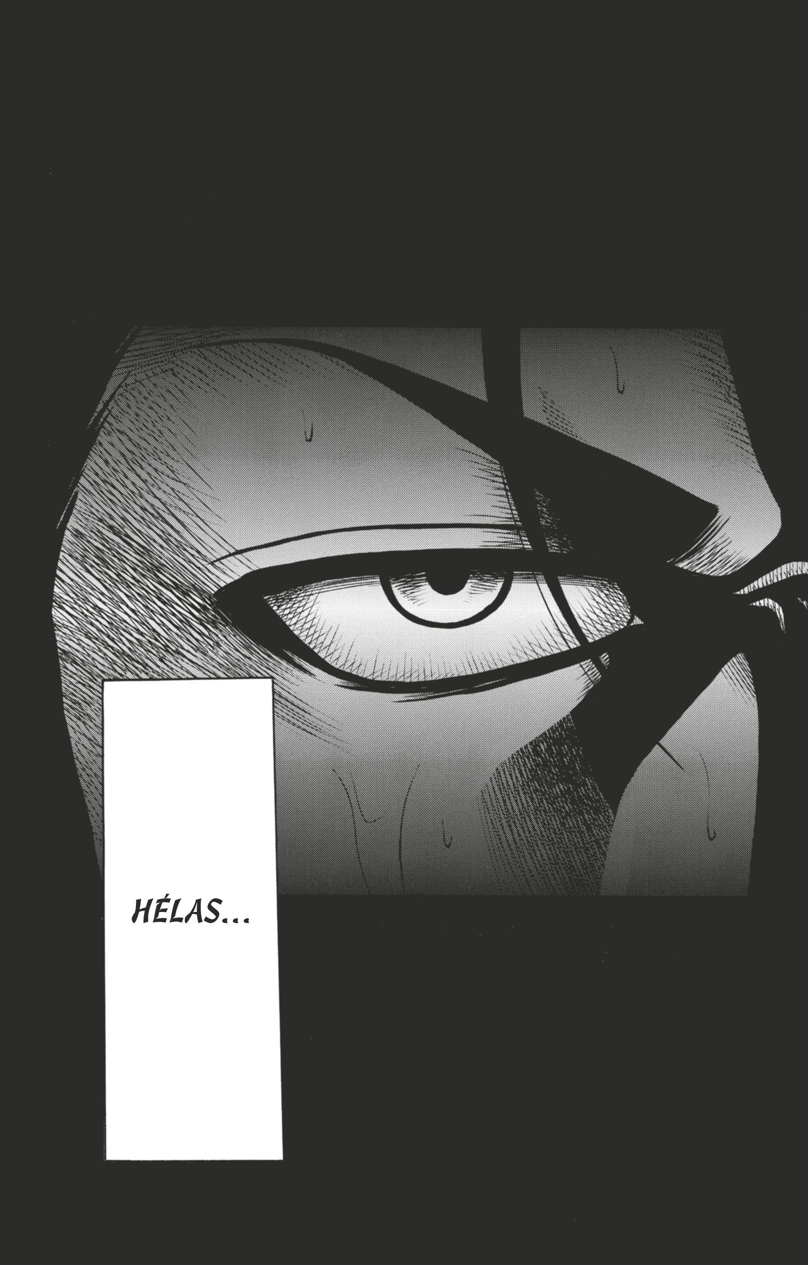 Read Hinomaru Zumou FR Manga Online