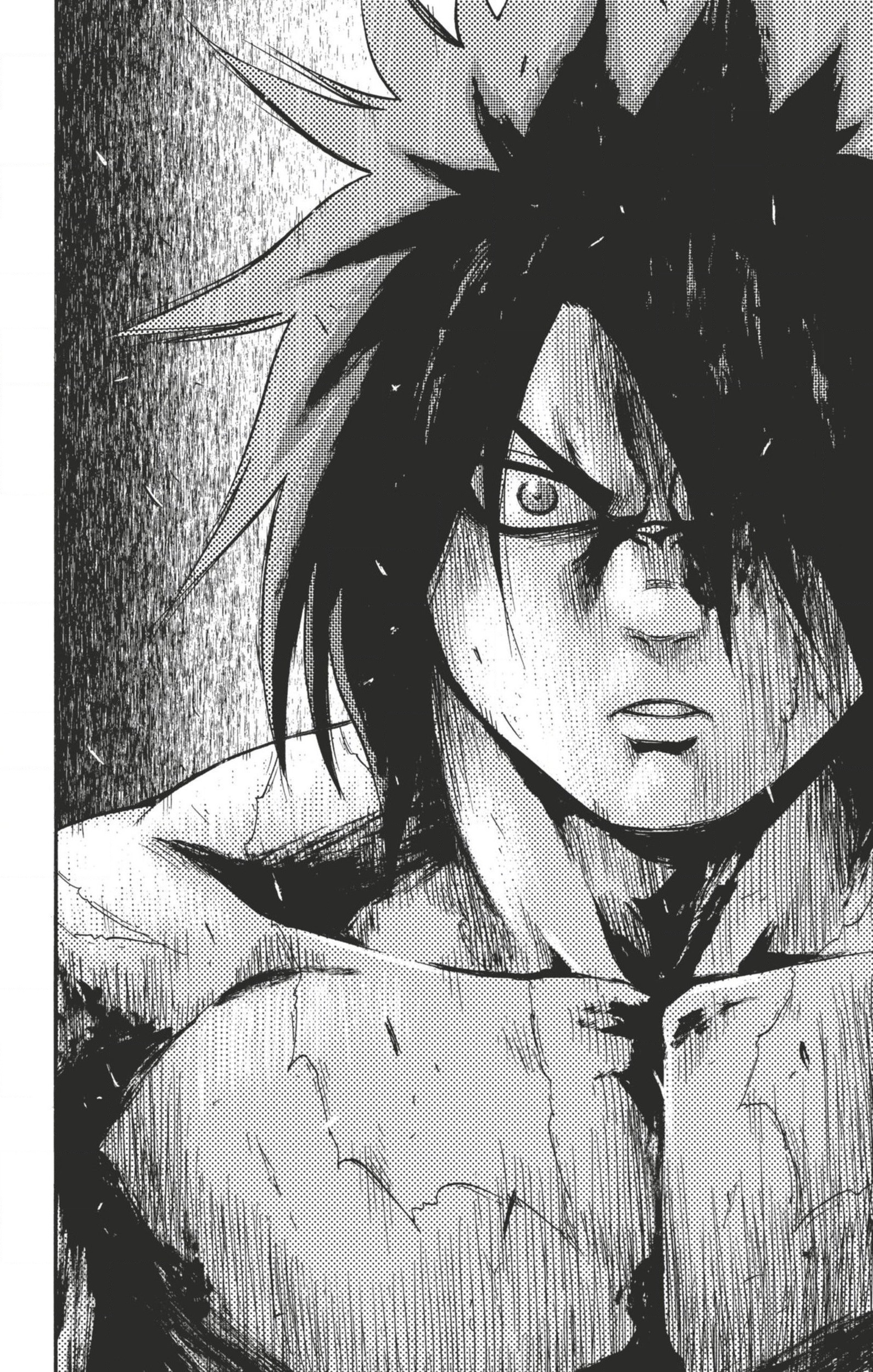 Read Hinomaru Zumou FR Manga Online