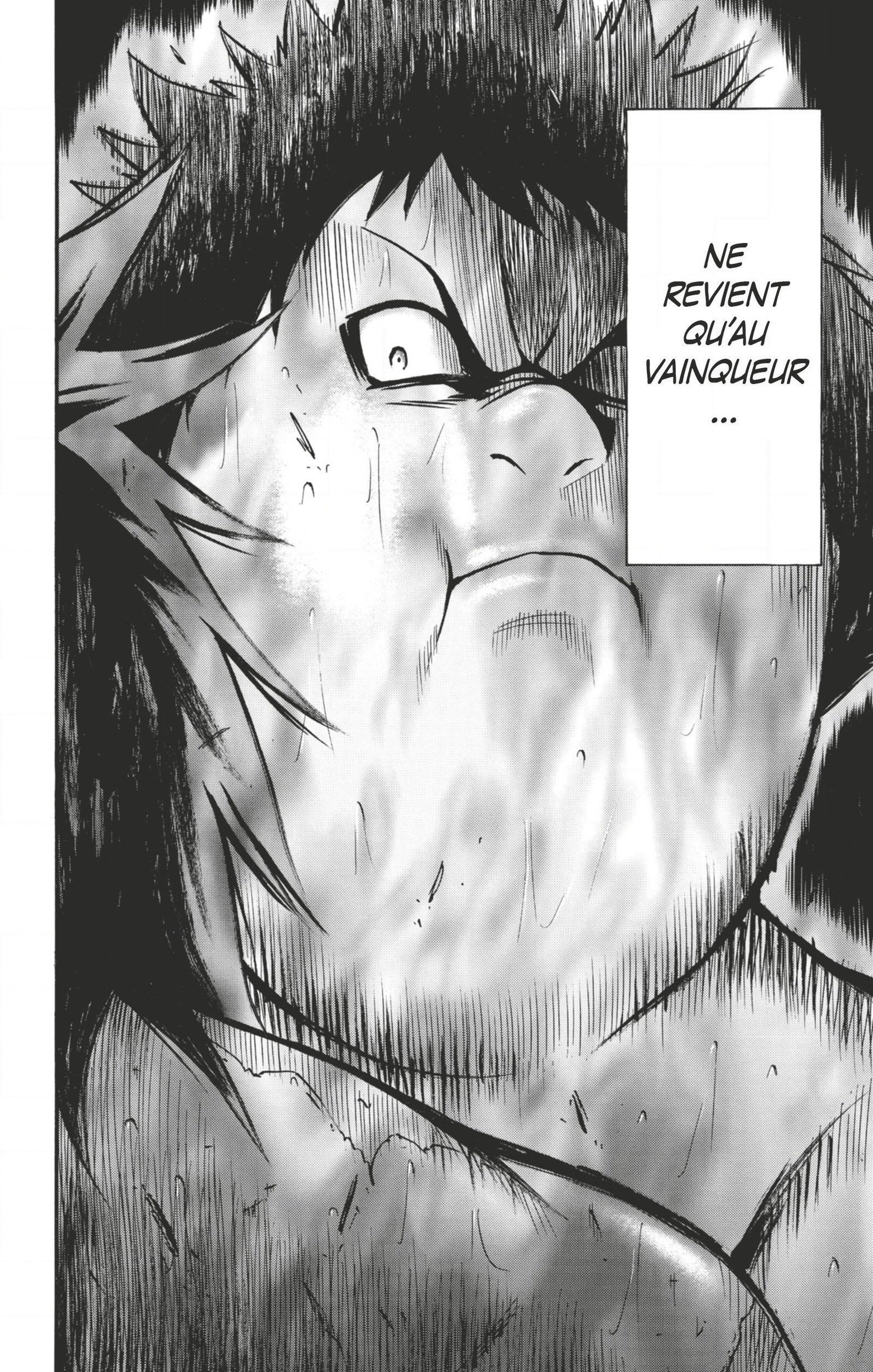 Read Hinomaru Zumou FR Manga Online